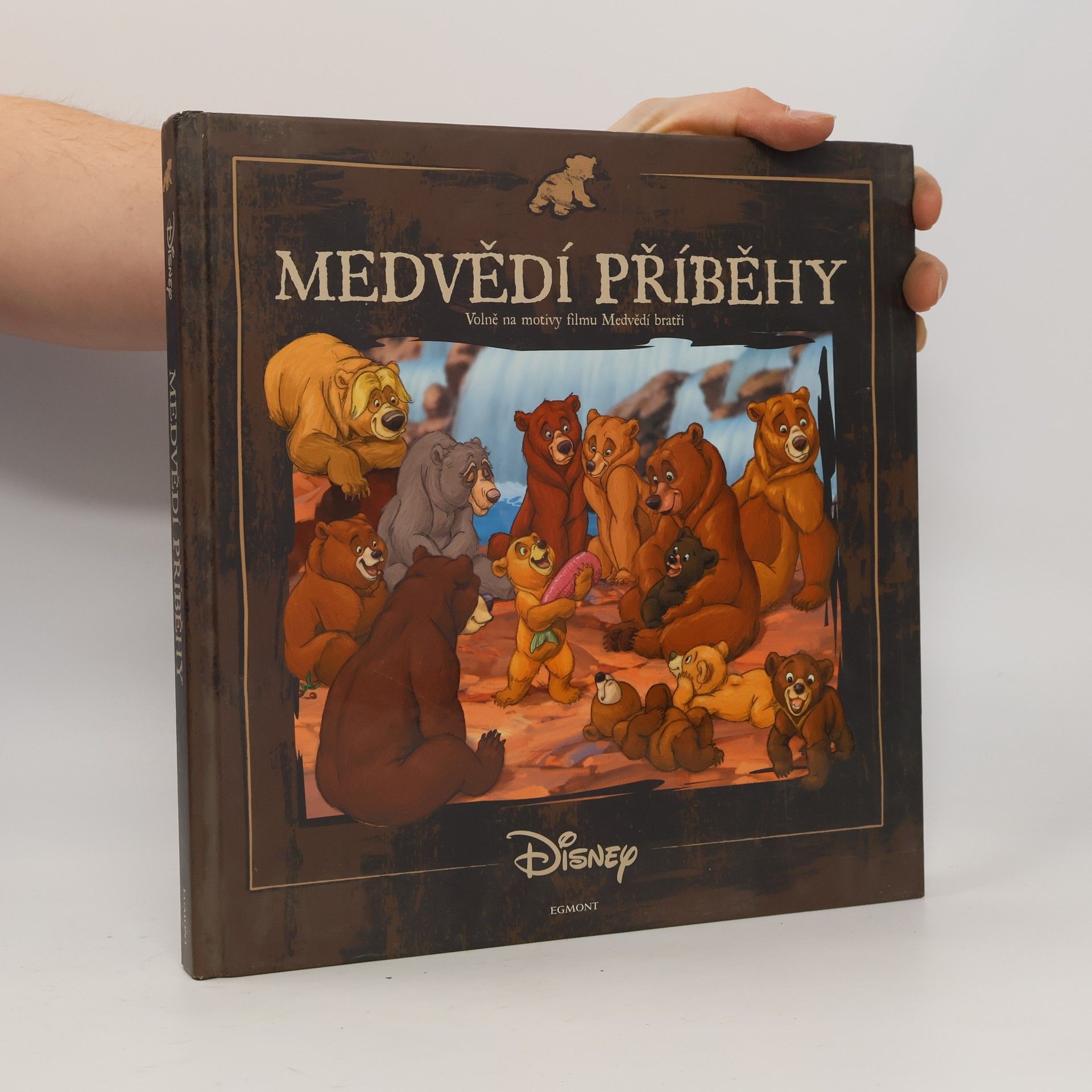 Walt Disney Medvědí příběhy