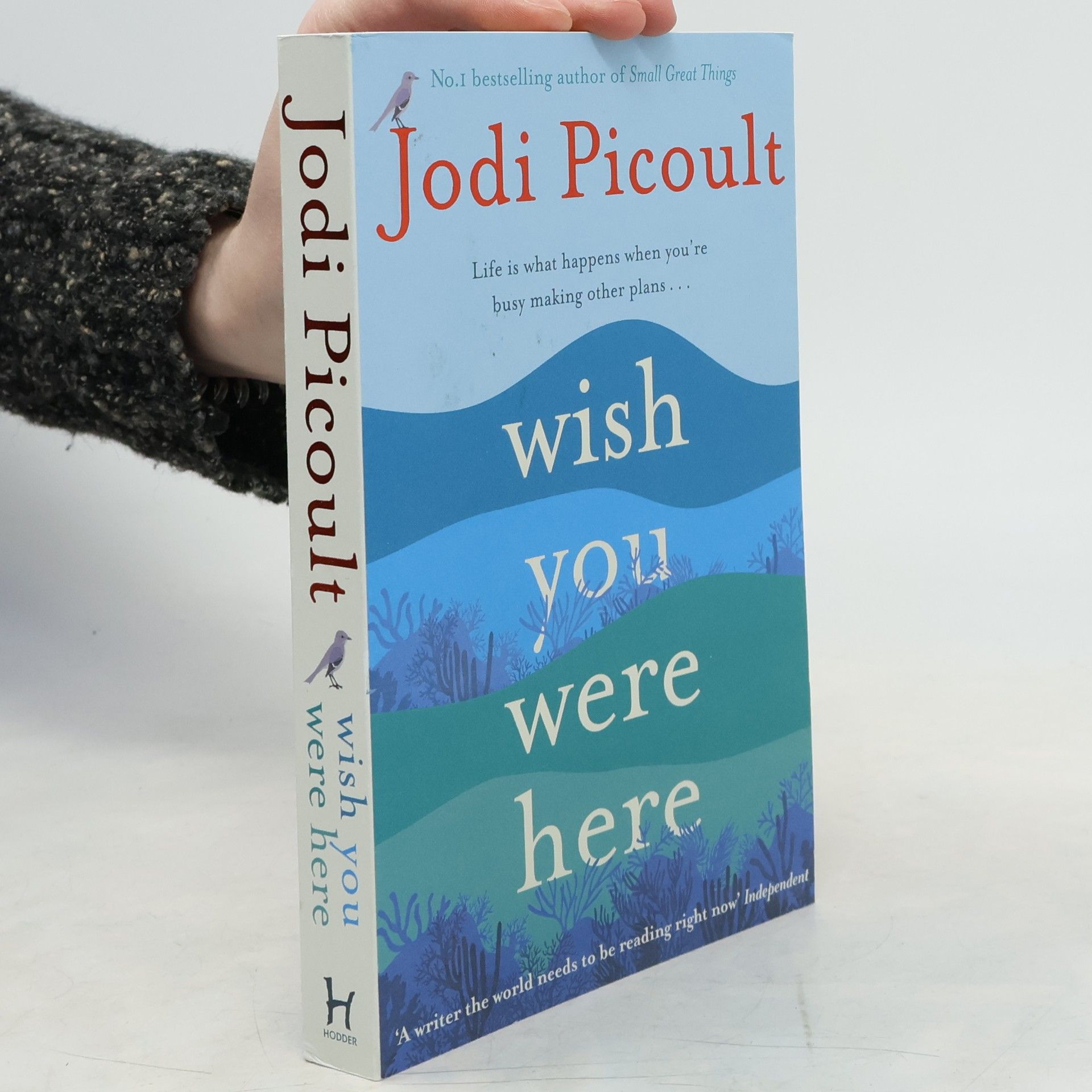 Jodi Picoult Wish you were here