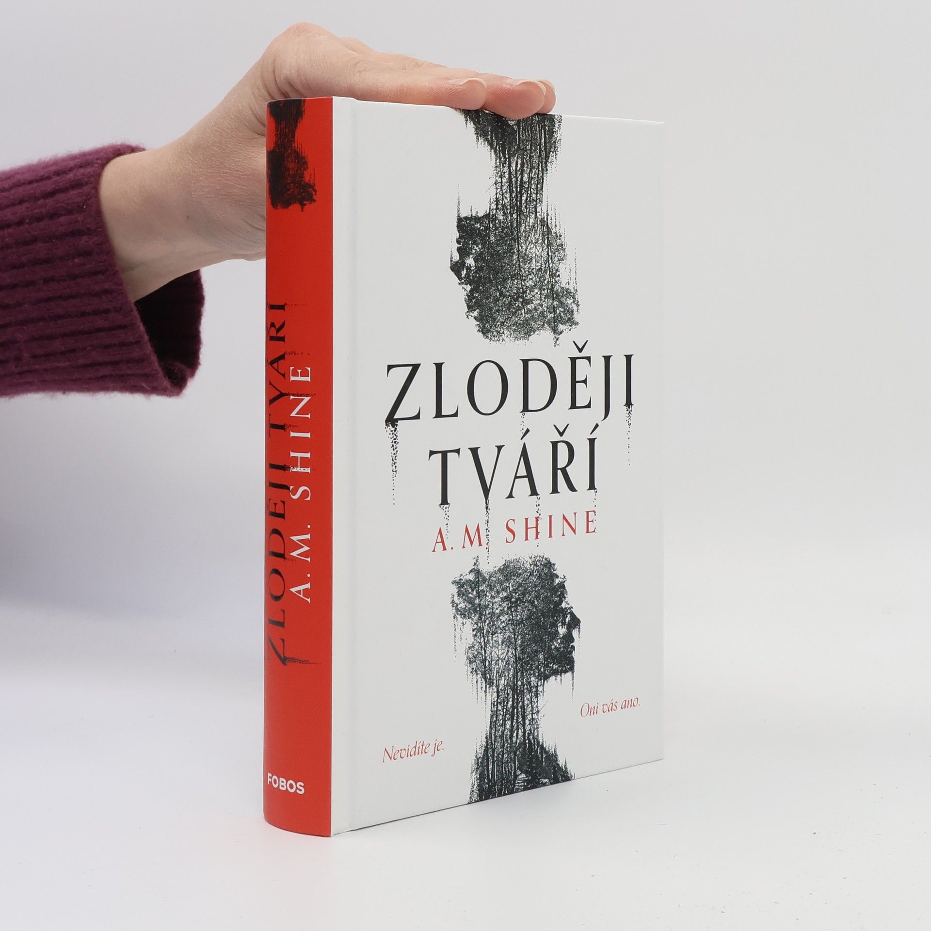 Kateřina Harrison Lipenská Zloději tváří