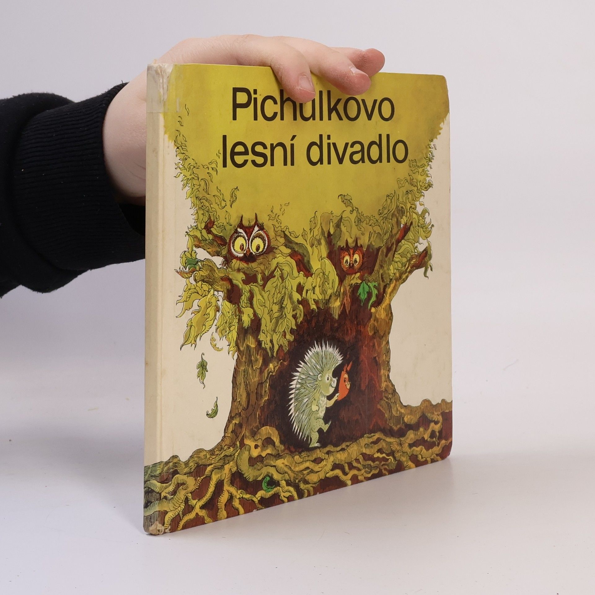 Pichulkovo lesní divadlo