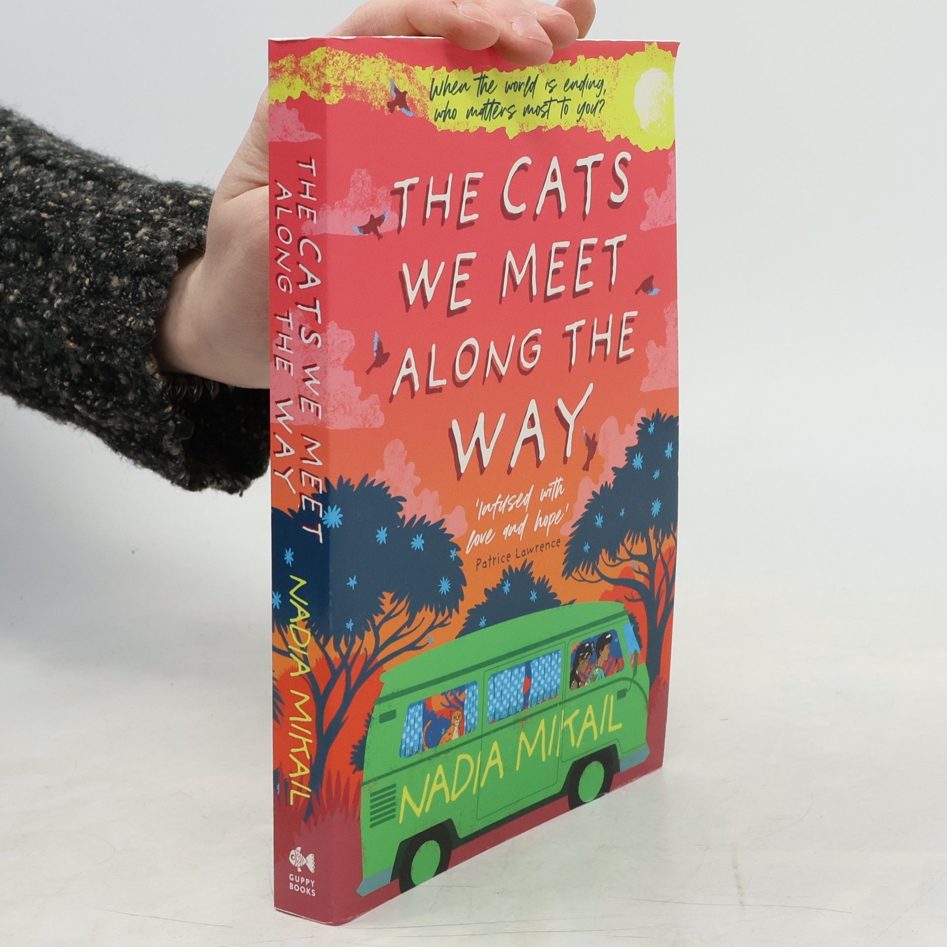 Nadia Mikail The Cats We Meet Along the Way