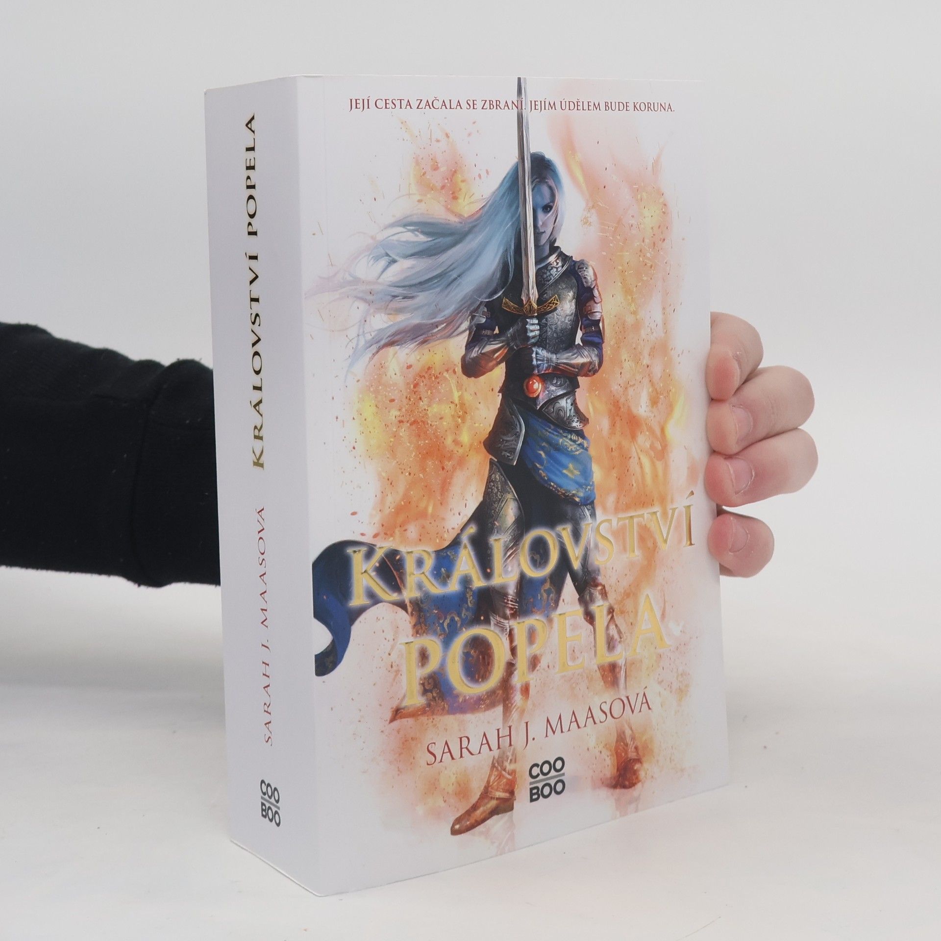 Sarah J. Maas Království popela