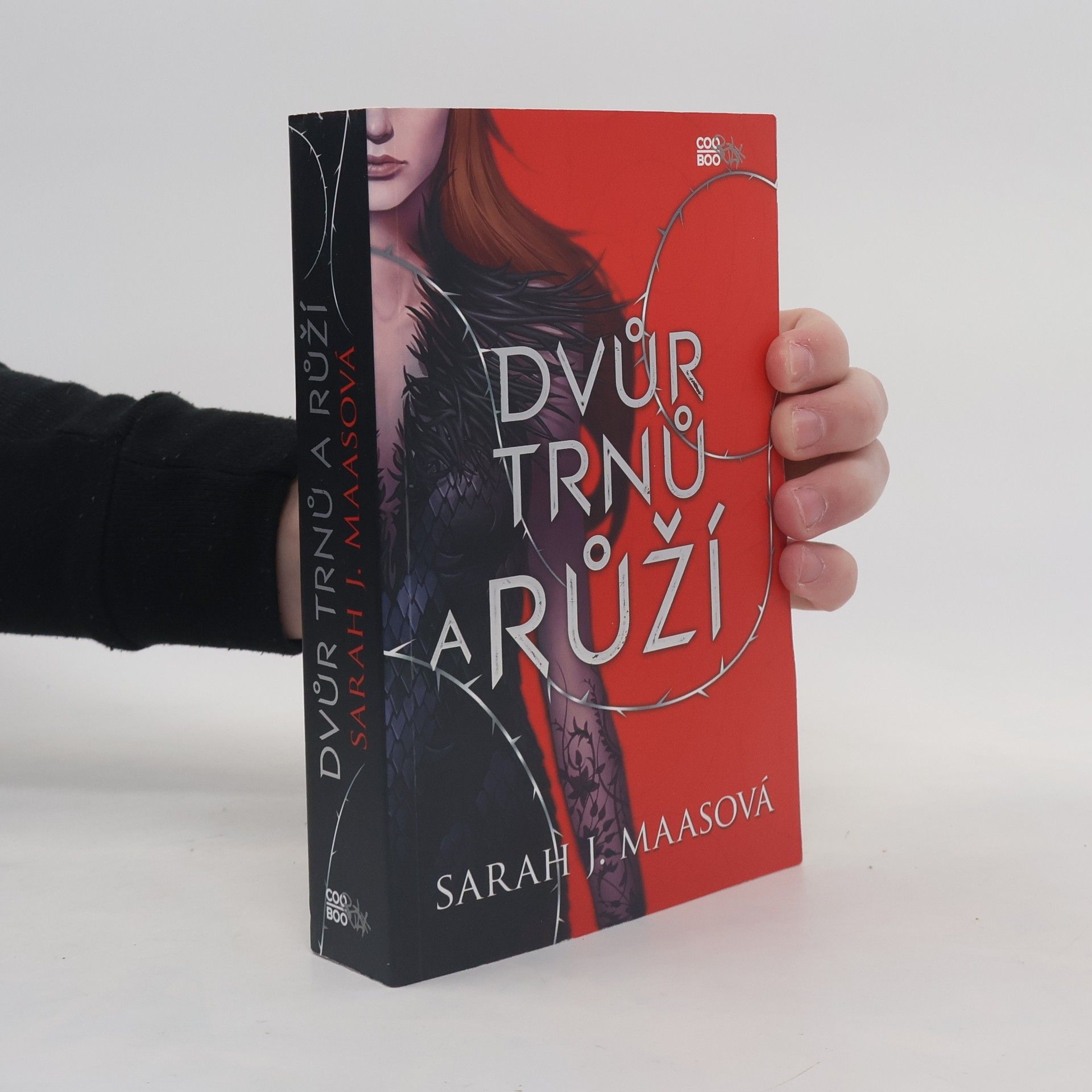 Sarah J. Maas Dvůr trnů a růží