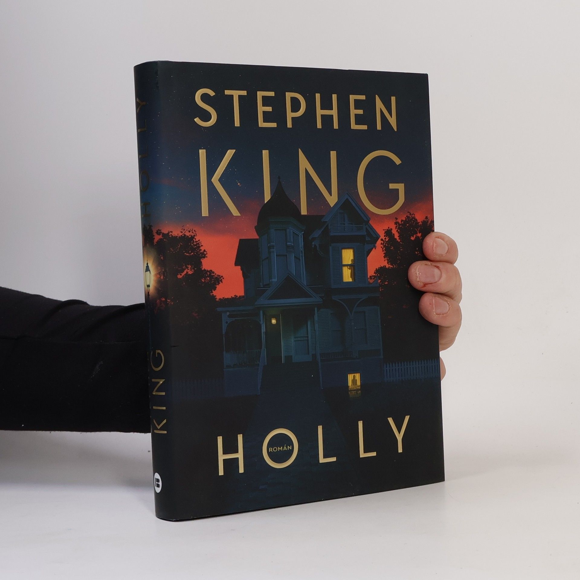 Stephen King Holly