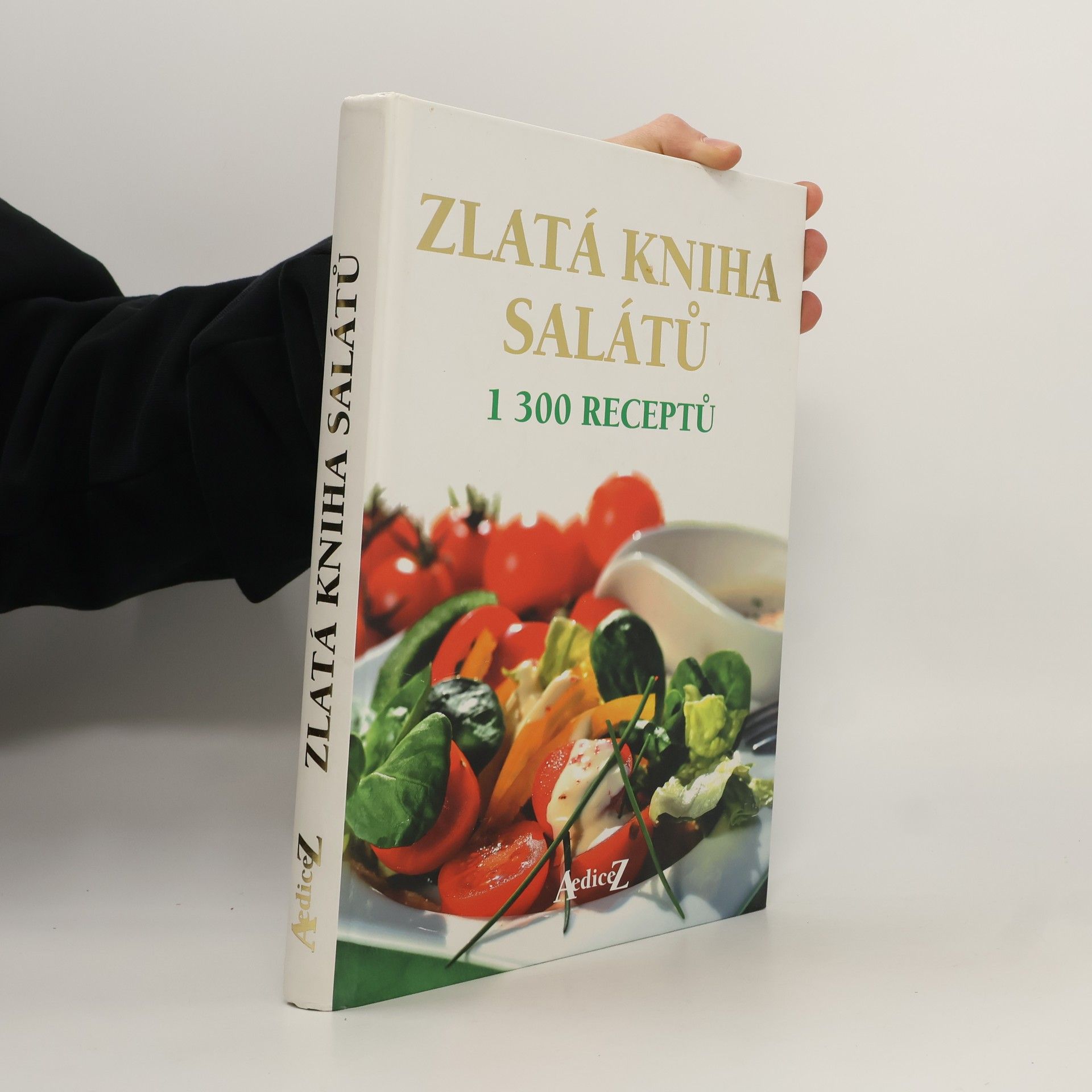 Autorenkollektiv Zlatá kniha salátů