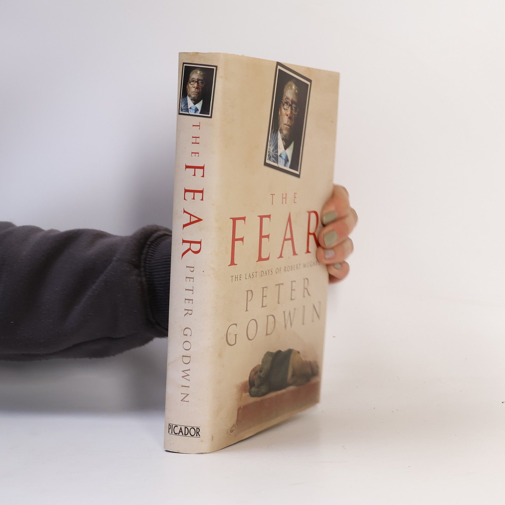 Peter Godwin The Fear