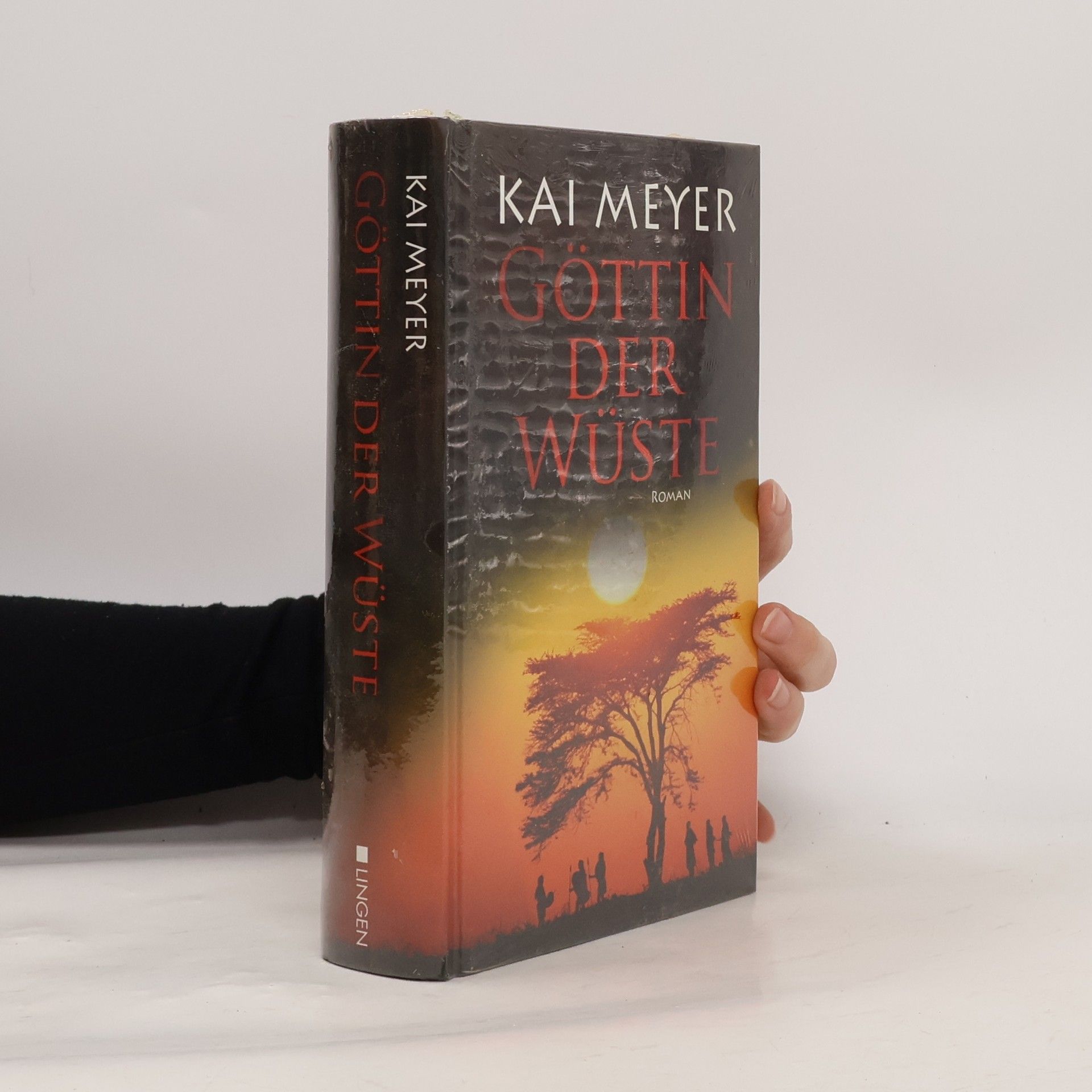 Kai Meyer Göttin der Wüste