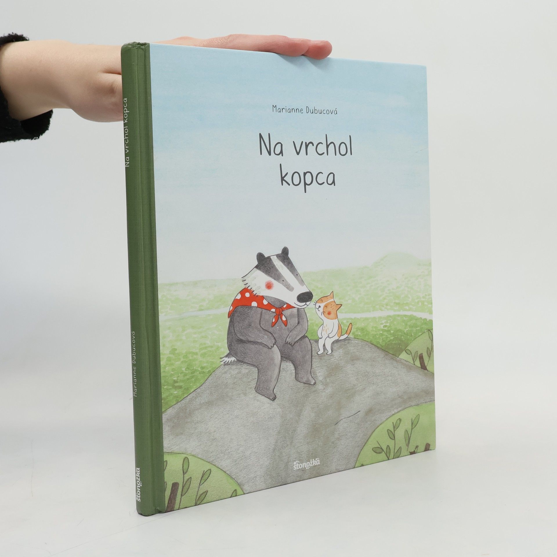 Marianne Dubuc Na vrchol kopca