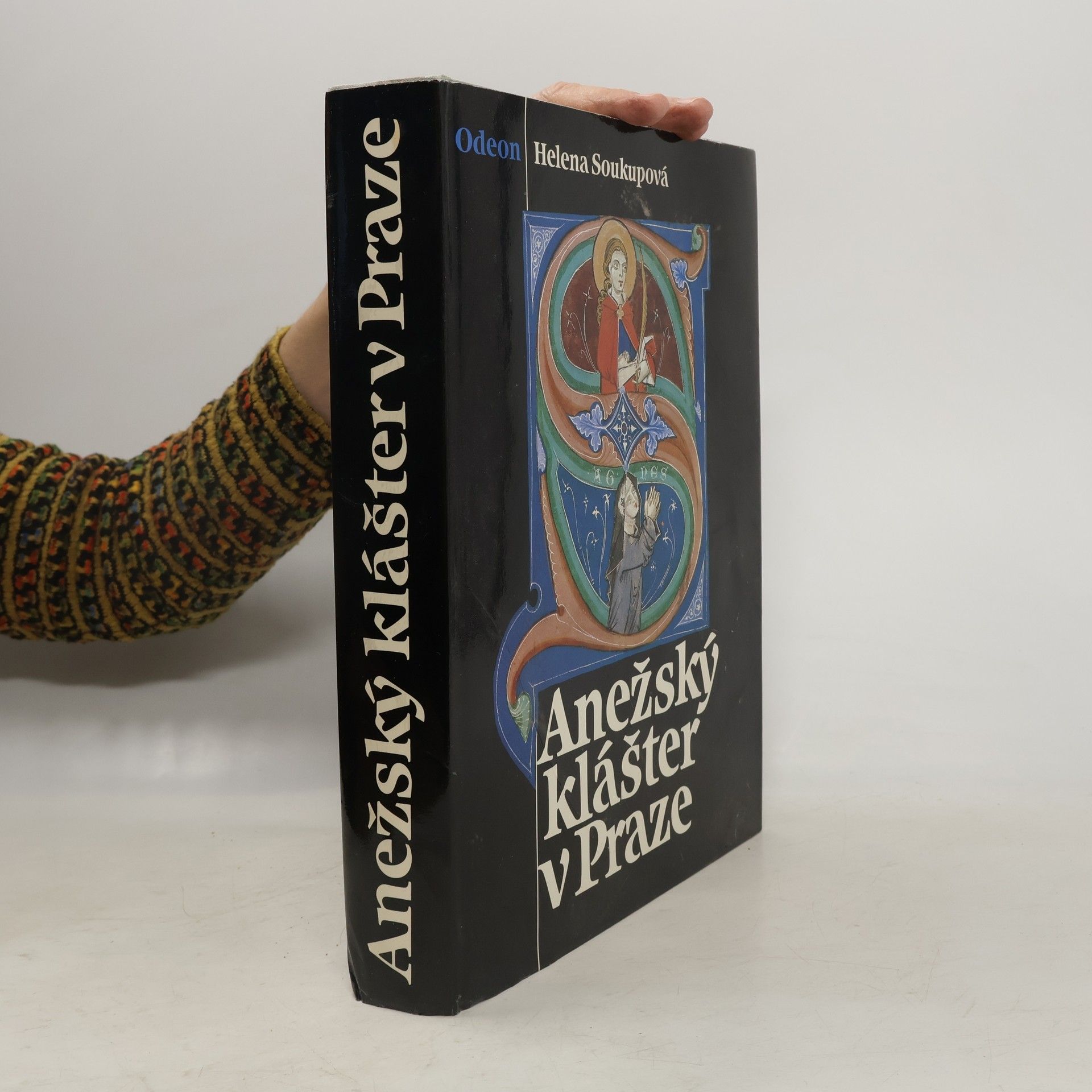 Helena Soukupová Anežský klášter v Praze