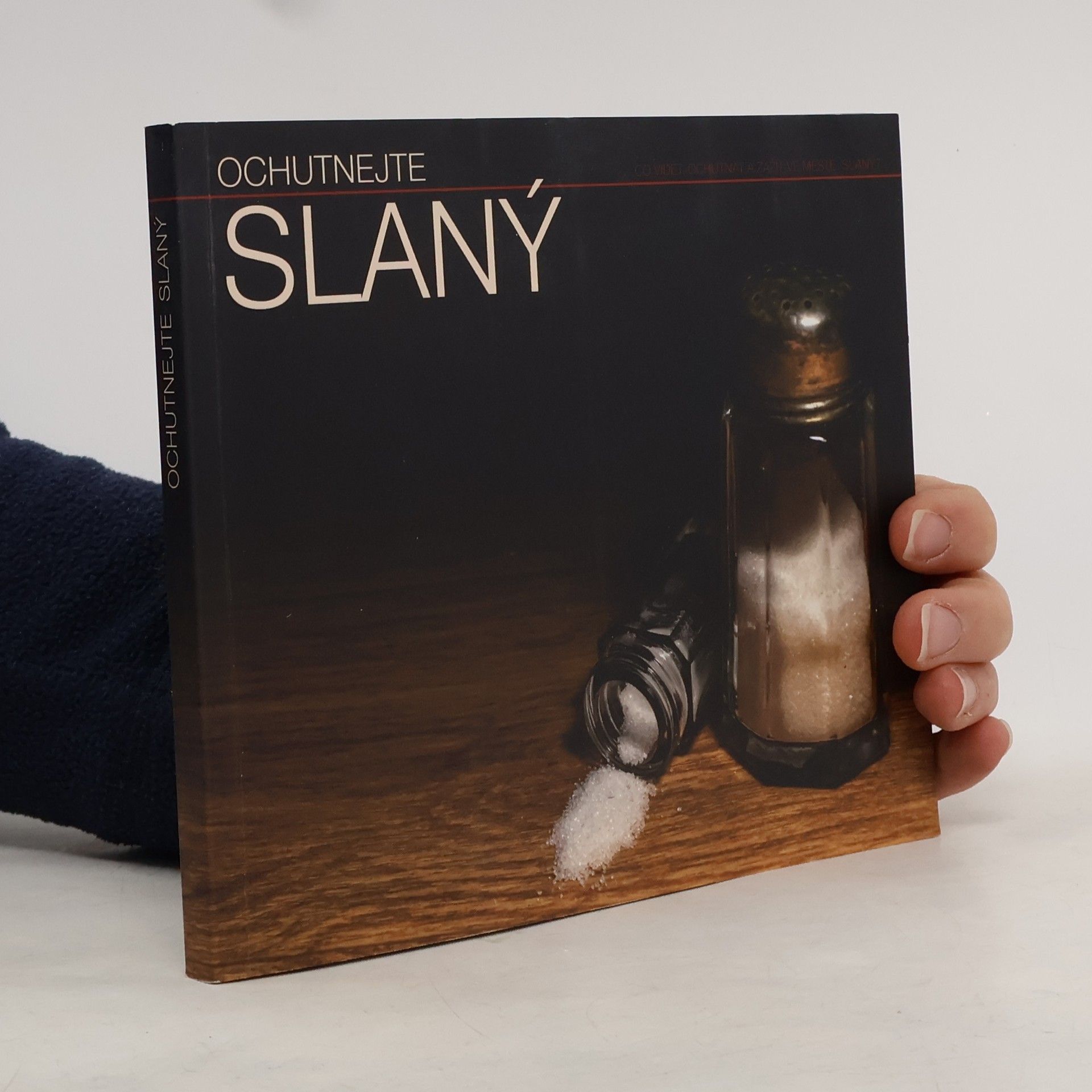 Jaroslav Hložek Ochutnejte Slaný : co vidět, ochutnat a zažít ve městě Slaný?