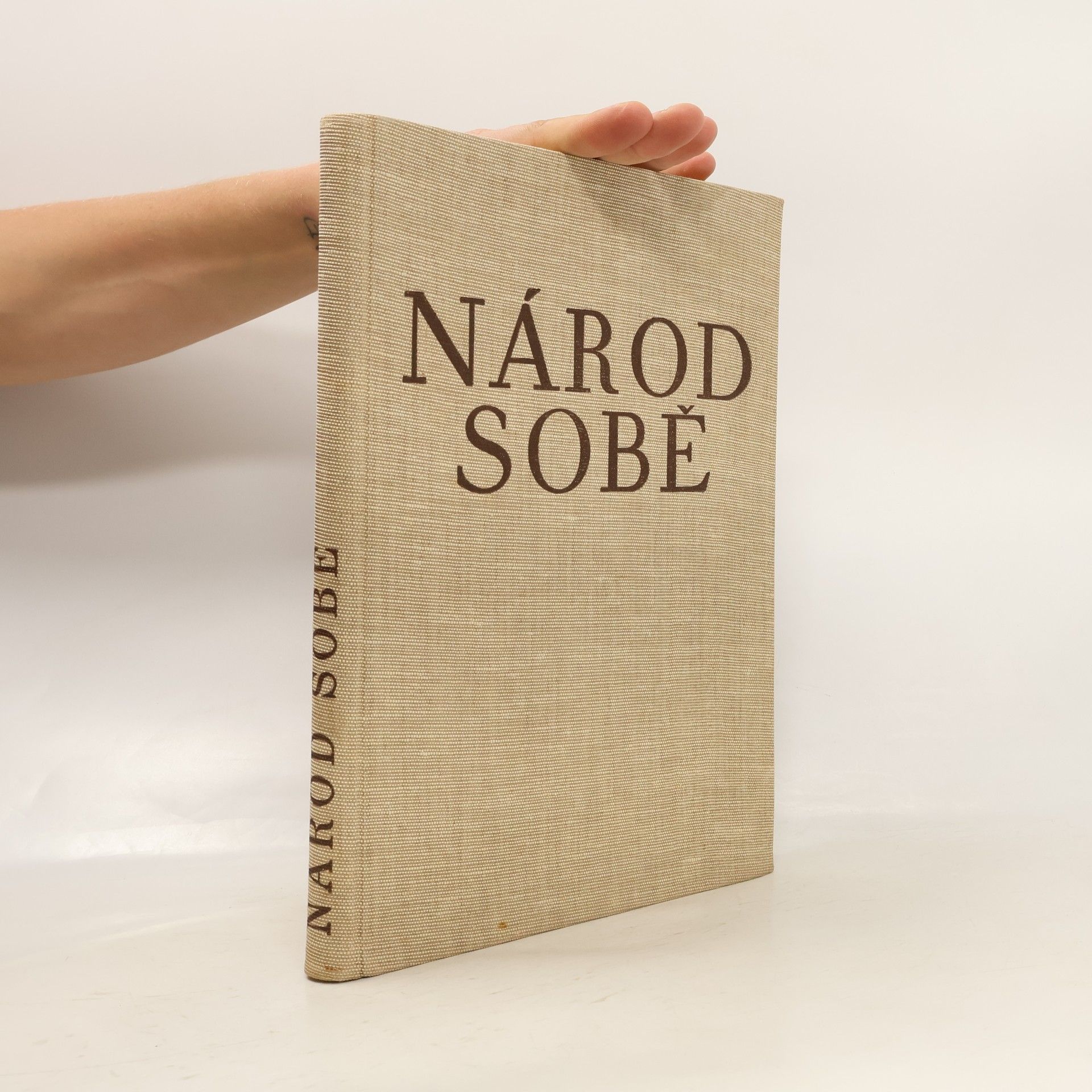 Autorenkollektiv Národ sobě