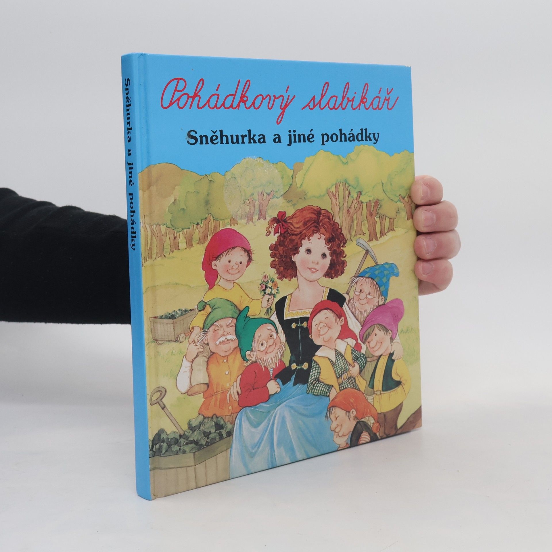 Kolektiv autorů Pohádkový slabikář. Sněhurka a jiné pohádky