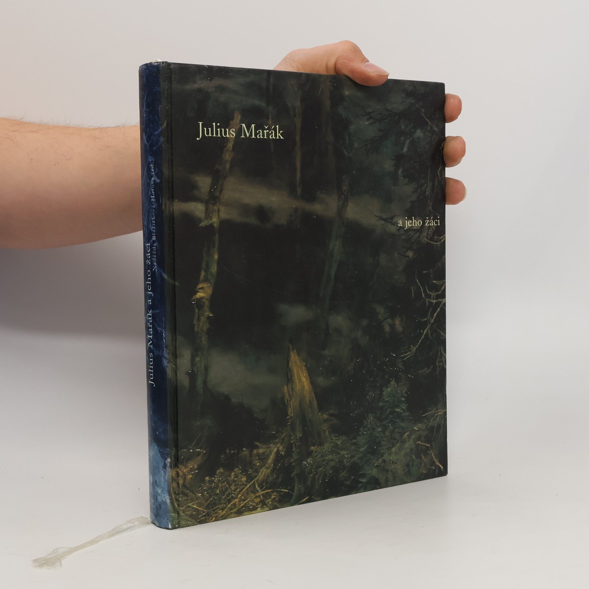 Naděžda Blažíčková-Horová Julius Mařák a jeho žáci