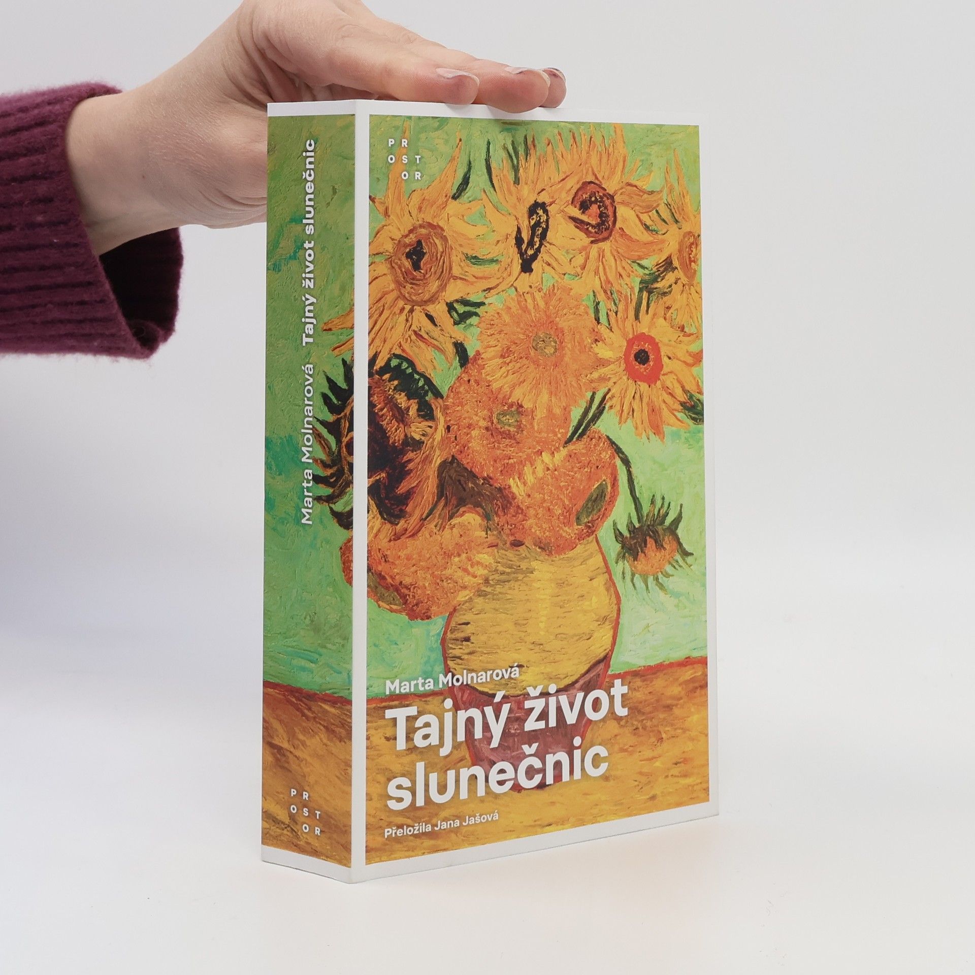 Marta Molnar Tajný život slunečnic