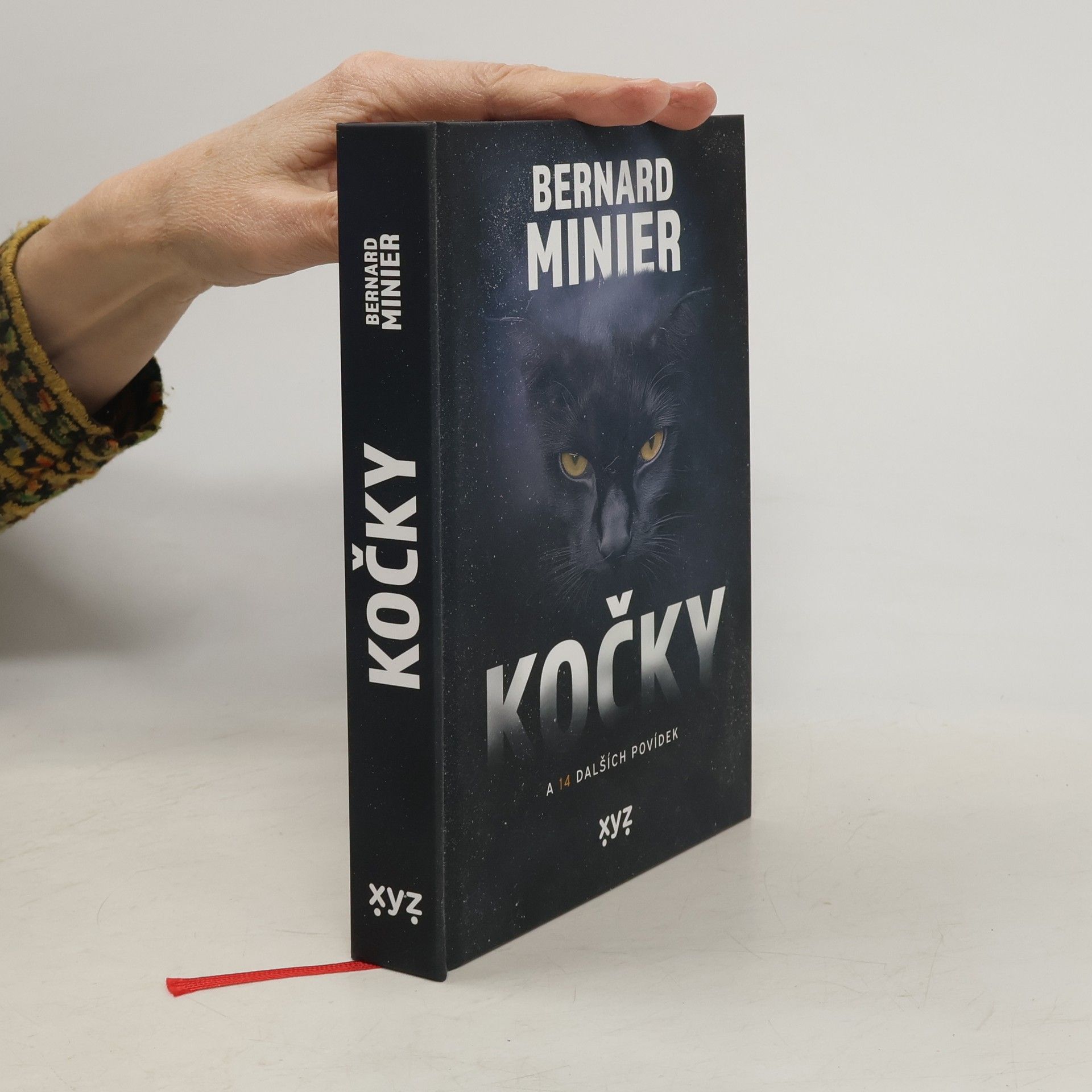 Kočky