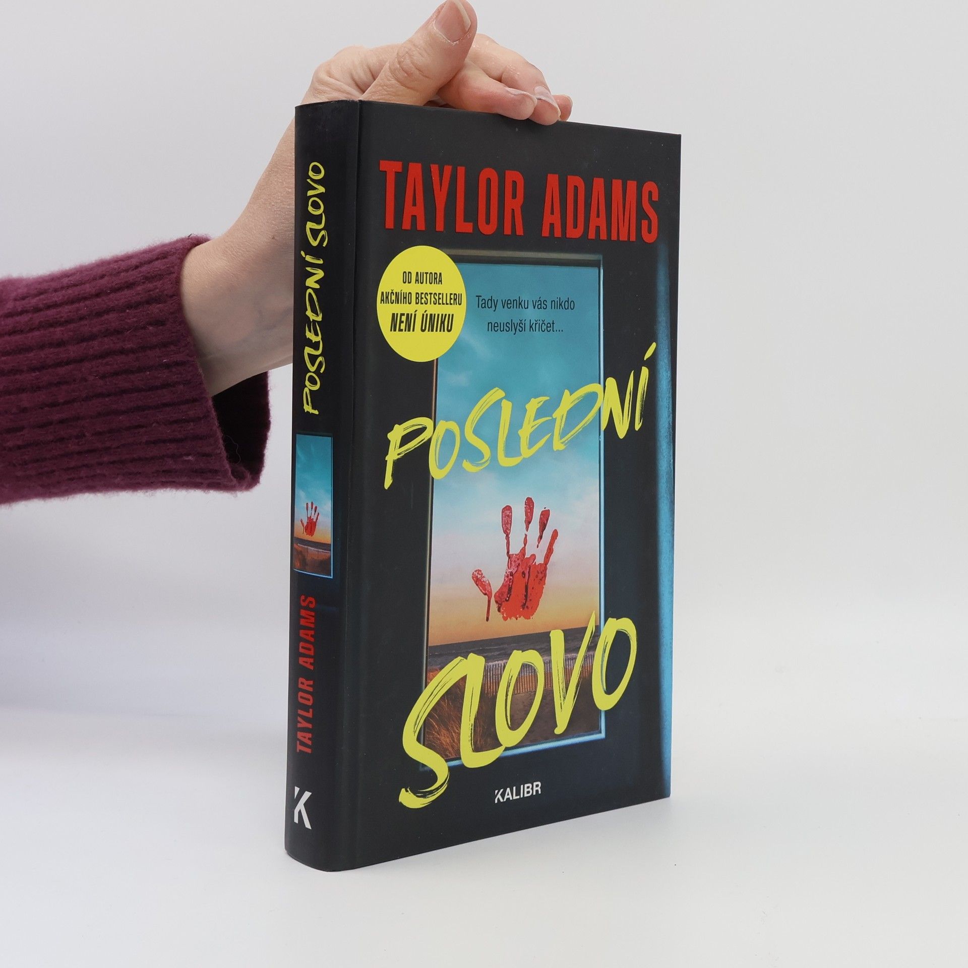 Irena Steinerová Poslední slovo