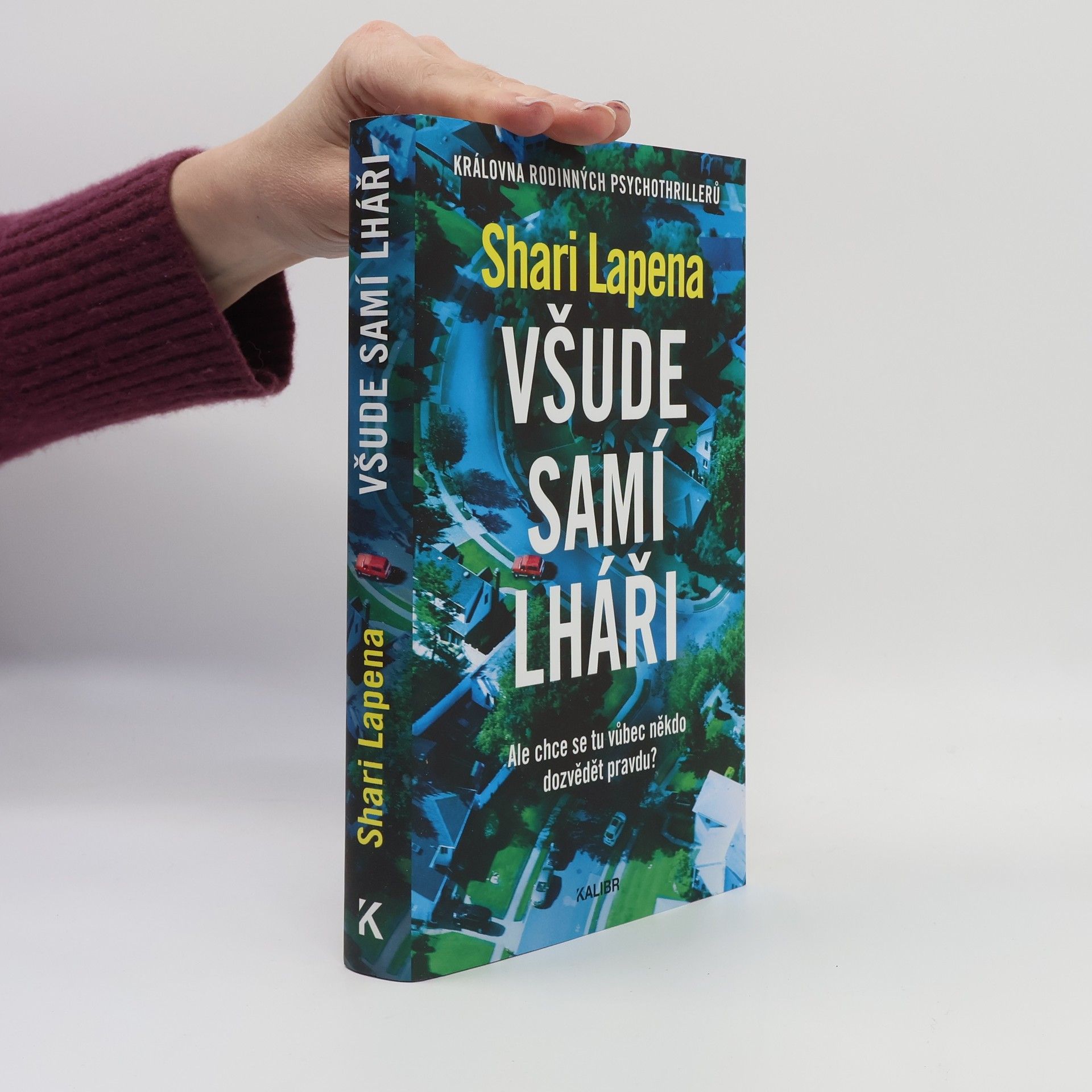 Shari Lapena Všude samí lháři