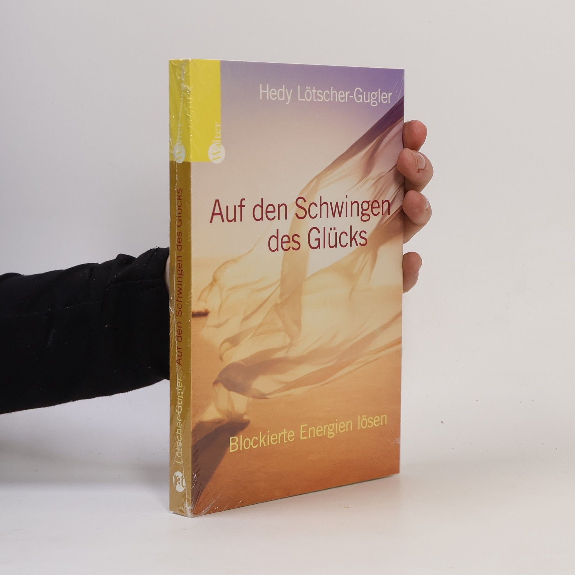 Hedy Lötscher-Gugler Auf den Schwingen des Glücks