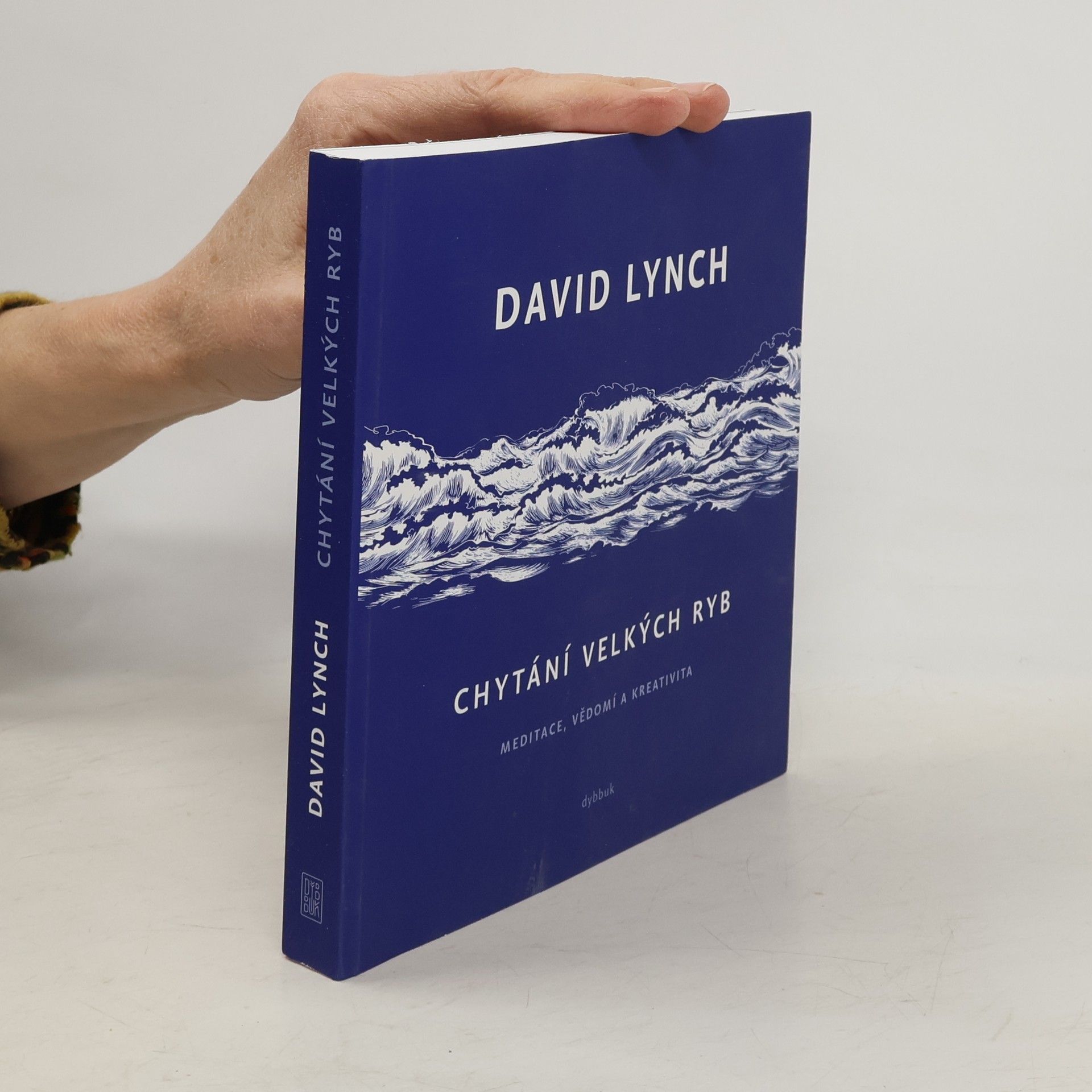 Chytání velkých ryb