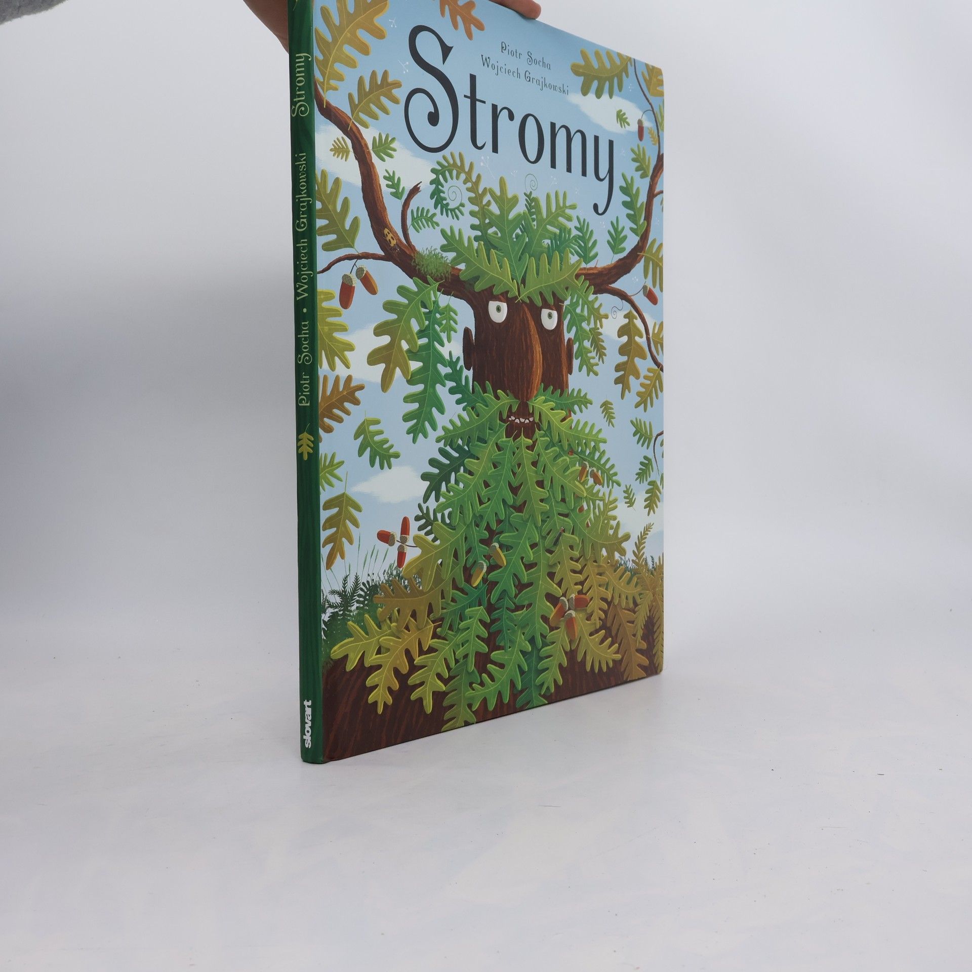 Piotr Socha Stromy