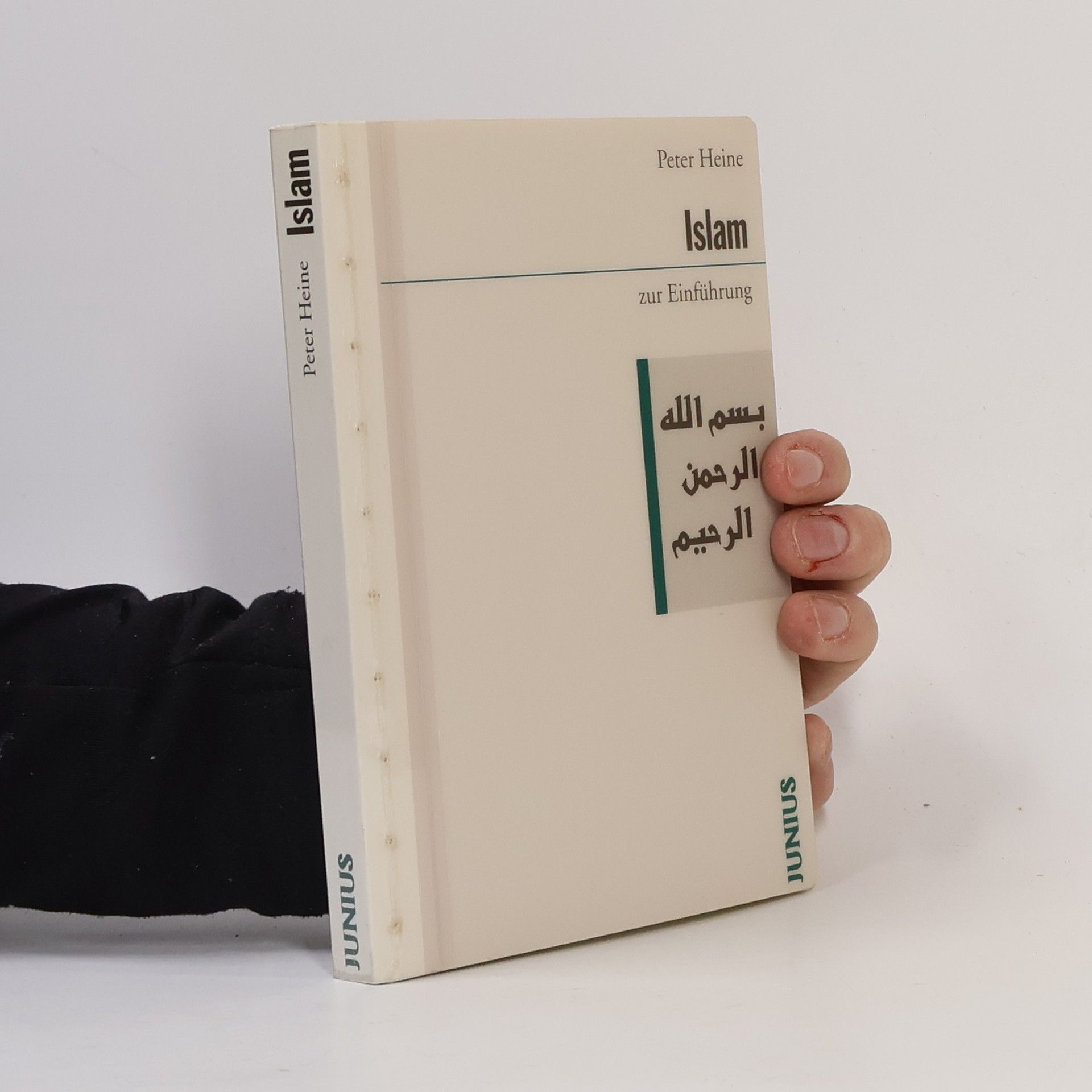 Peter Heine Islam, zur Einführung