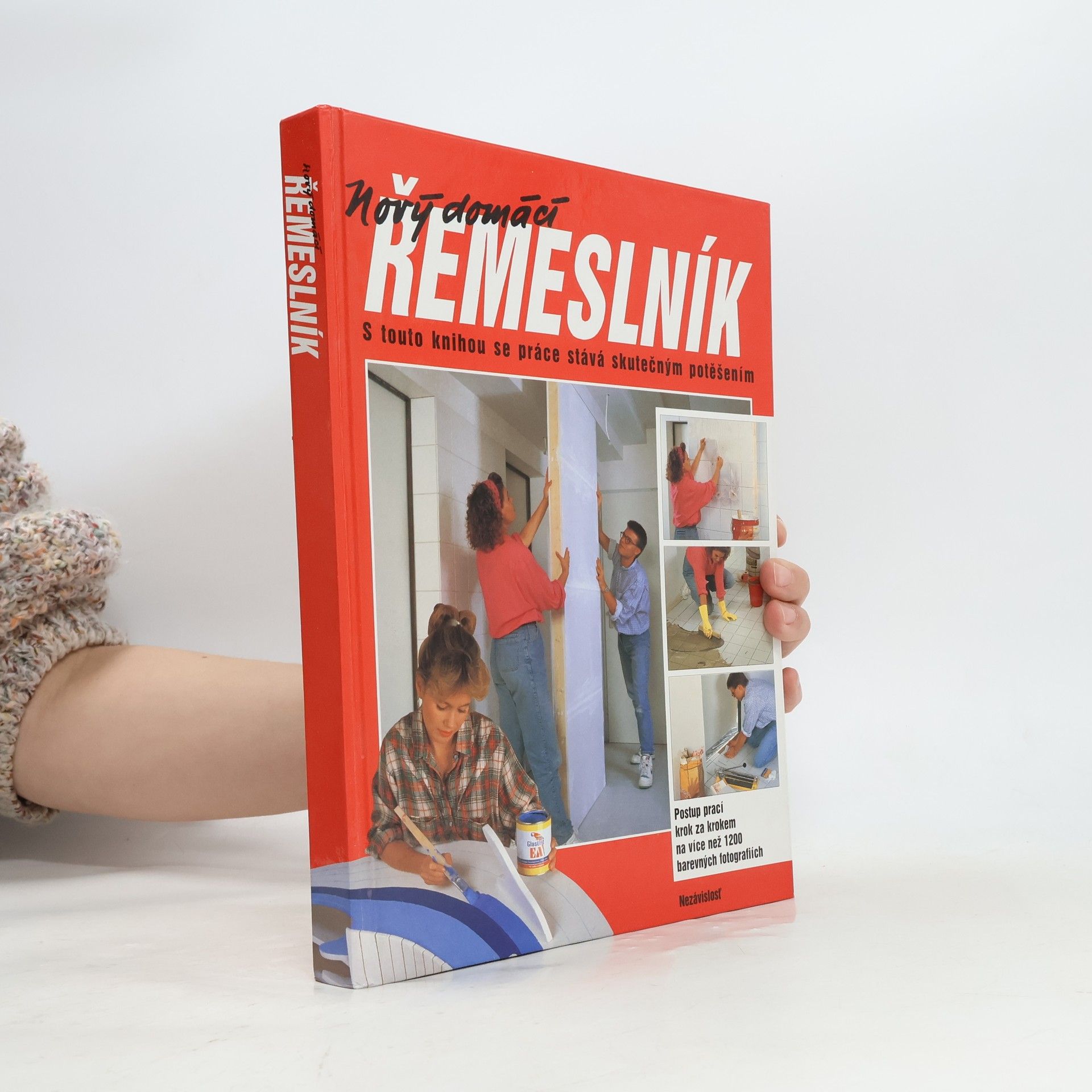 Dieter Rex Nový domácí řemeslník