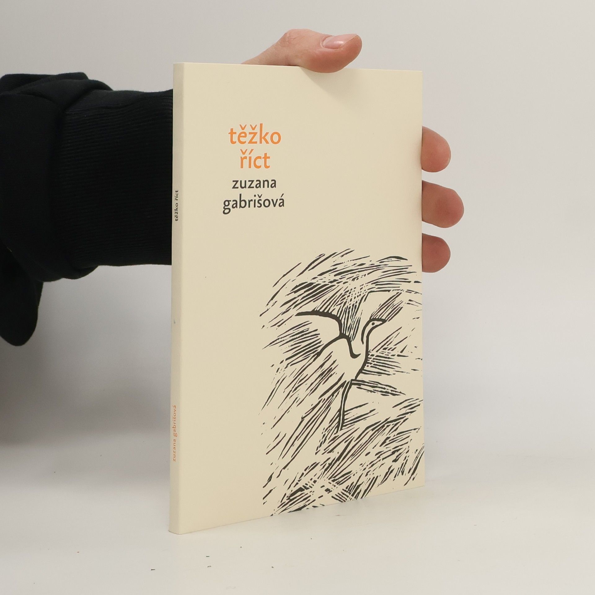 Zuzana Gabrišová Těžko říct