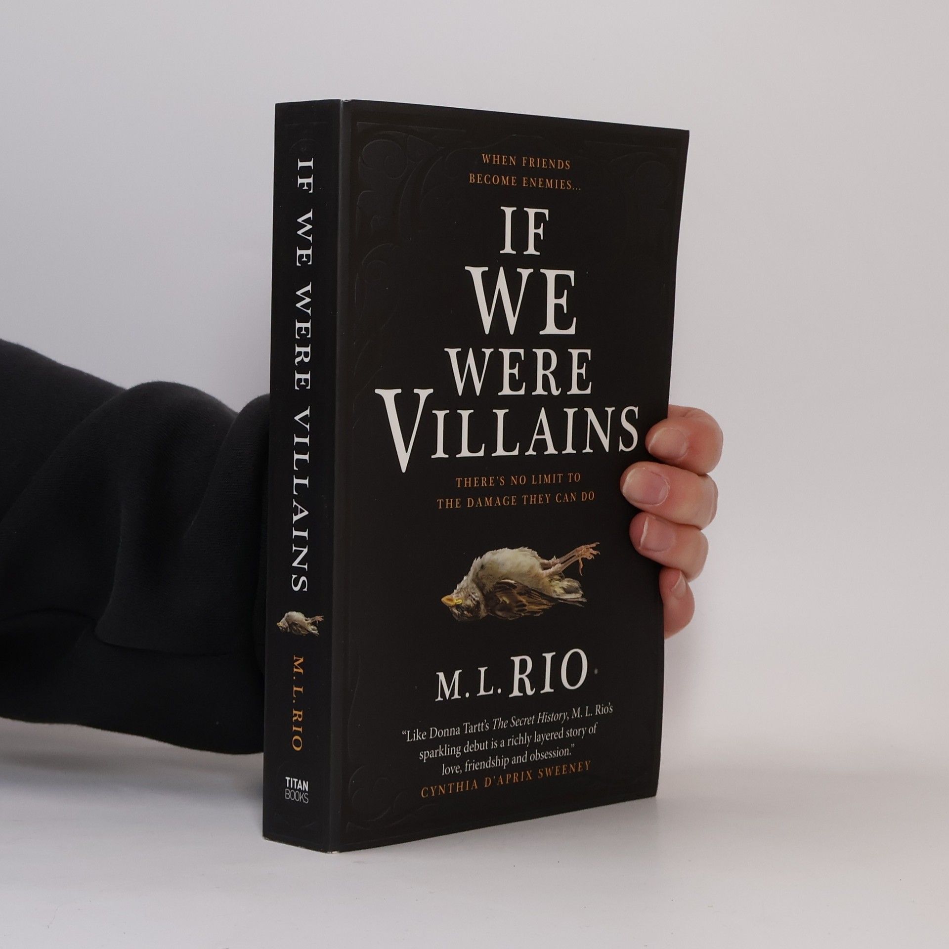 M. L. Rio If We Were Villains