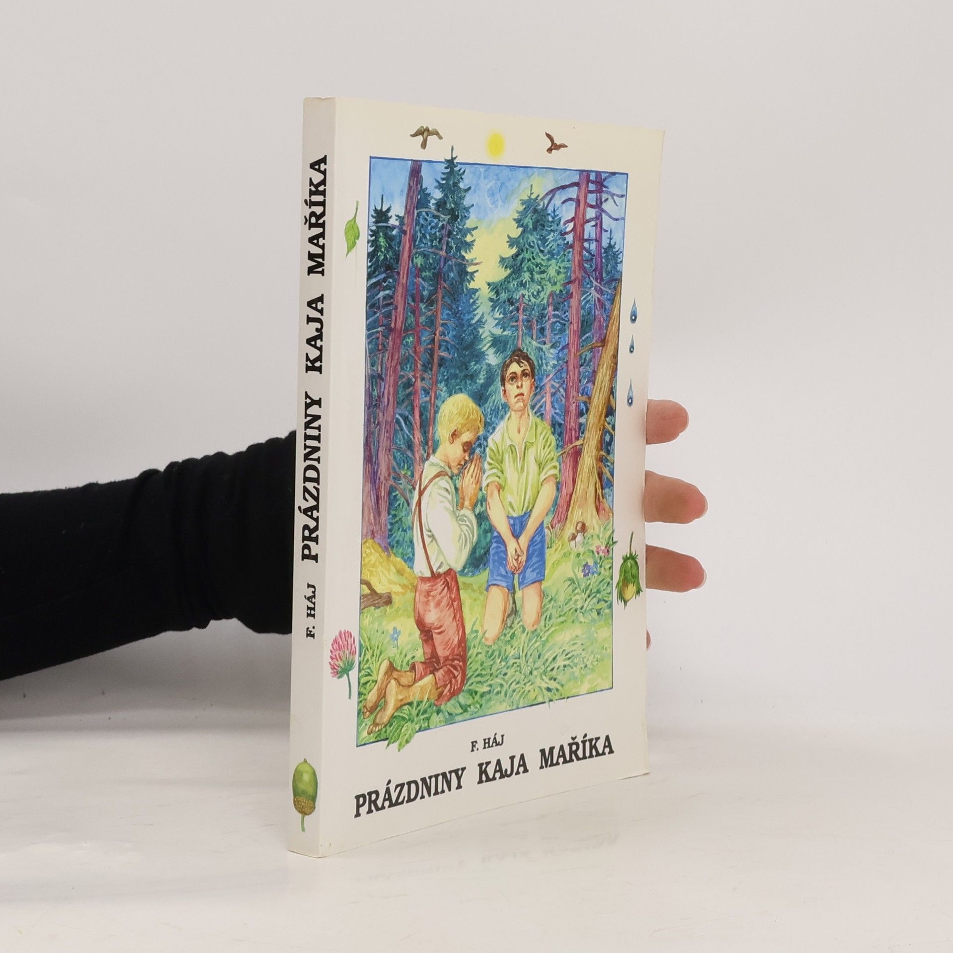 Felix Haj Prázdniny Kaja Maříka