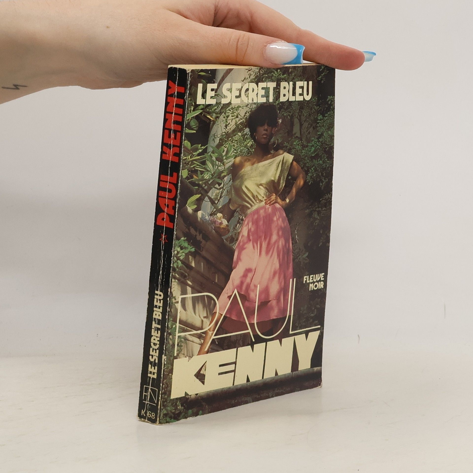 Paul Kenny Le Secret bleu