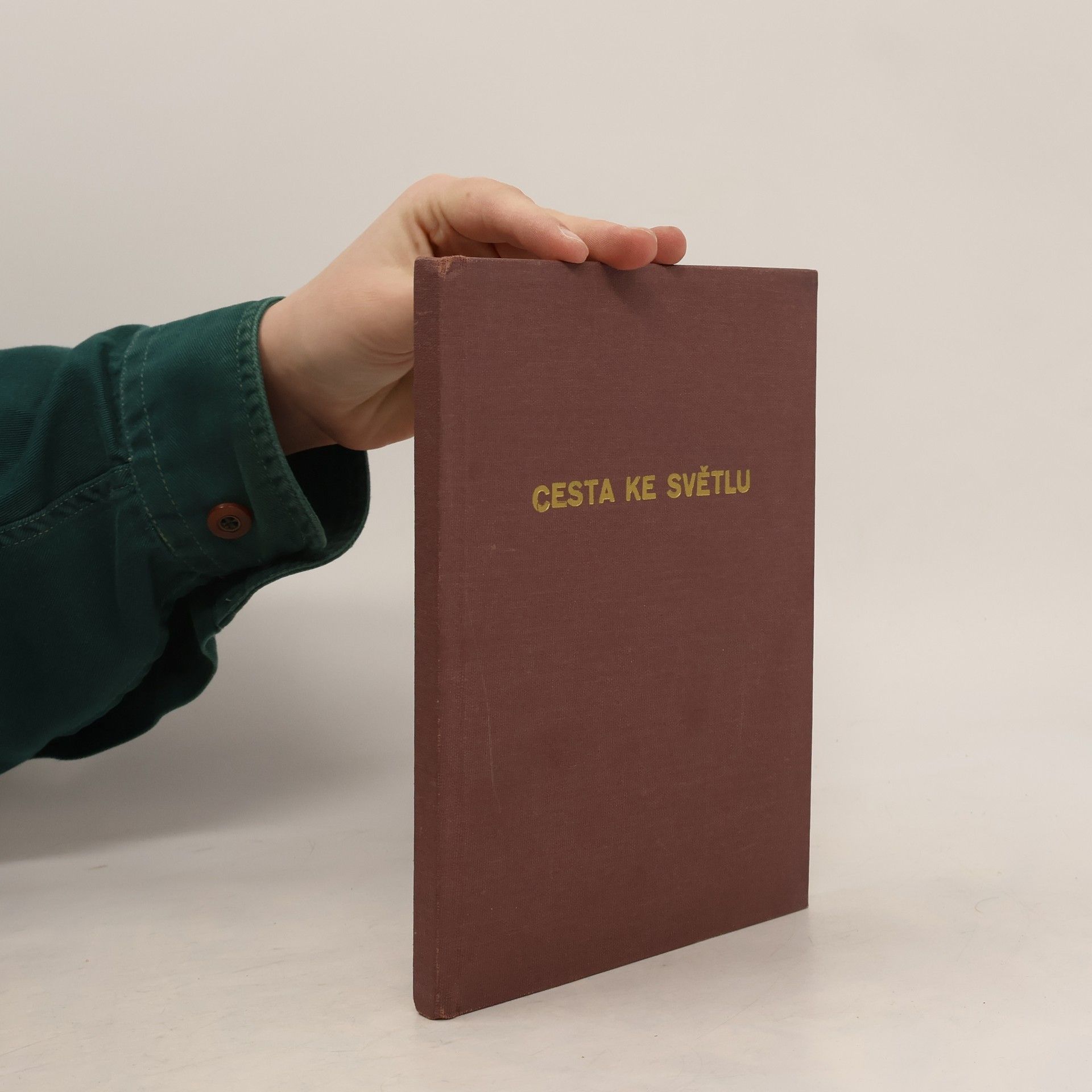 Ferdinand Neubauer Cesta ke světlu