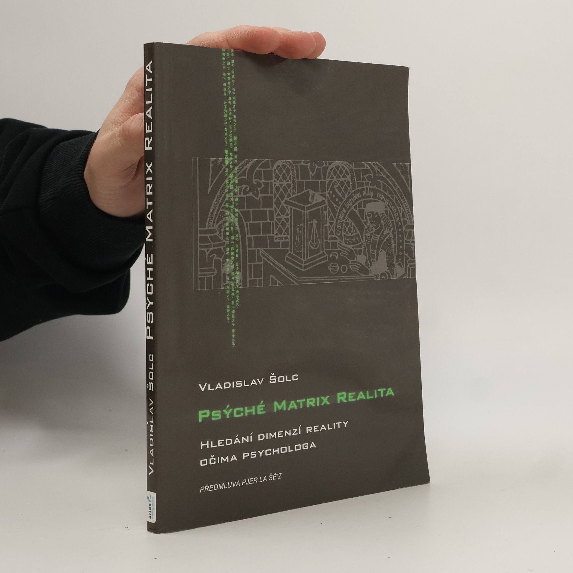 Vladislav Šolc Psýché, Matrix, Realita