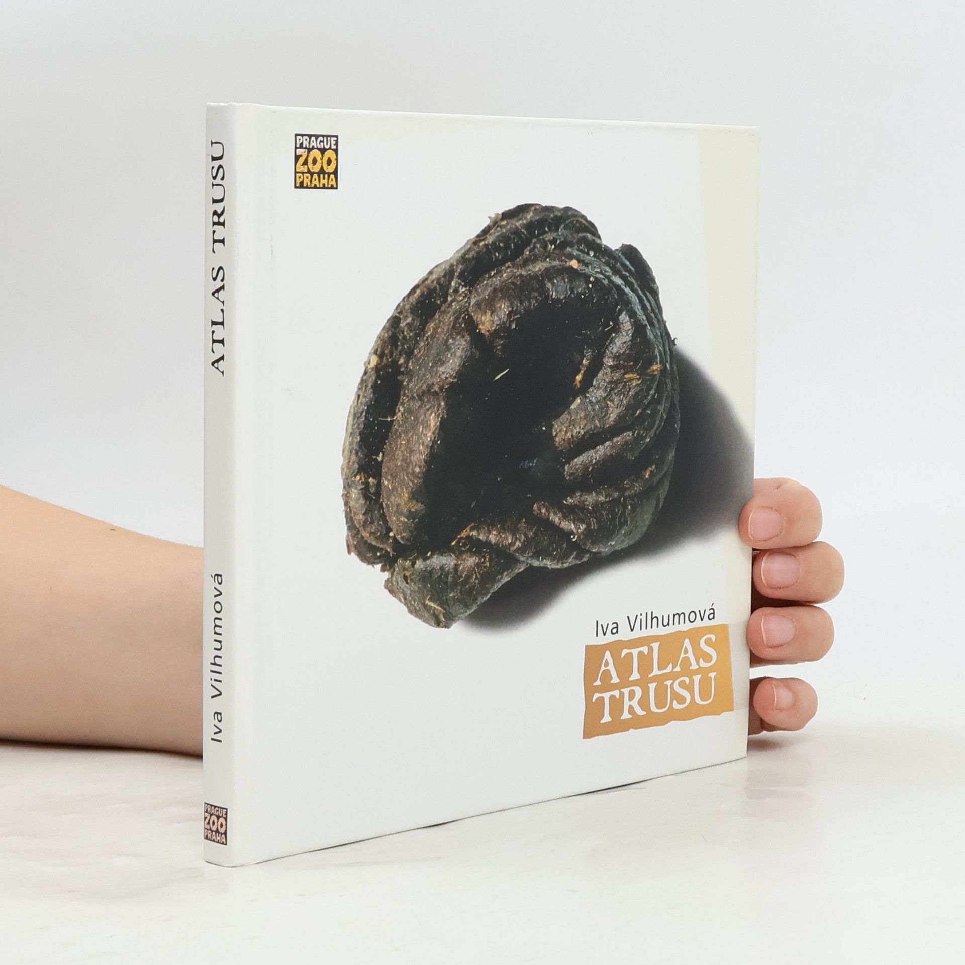 Iva Vilhumová Atlas trusu