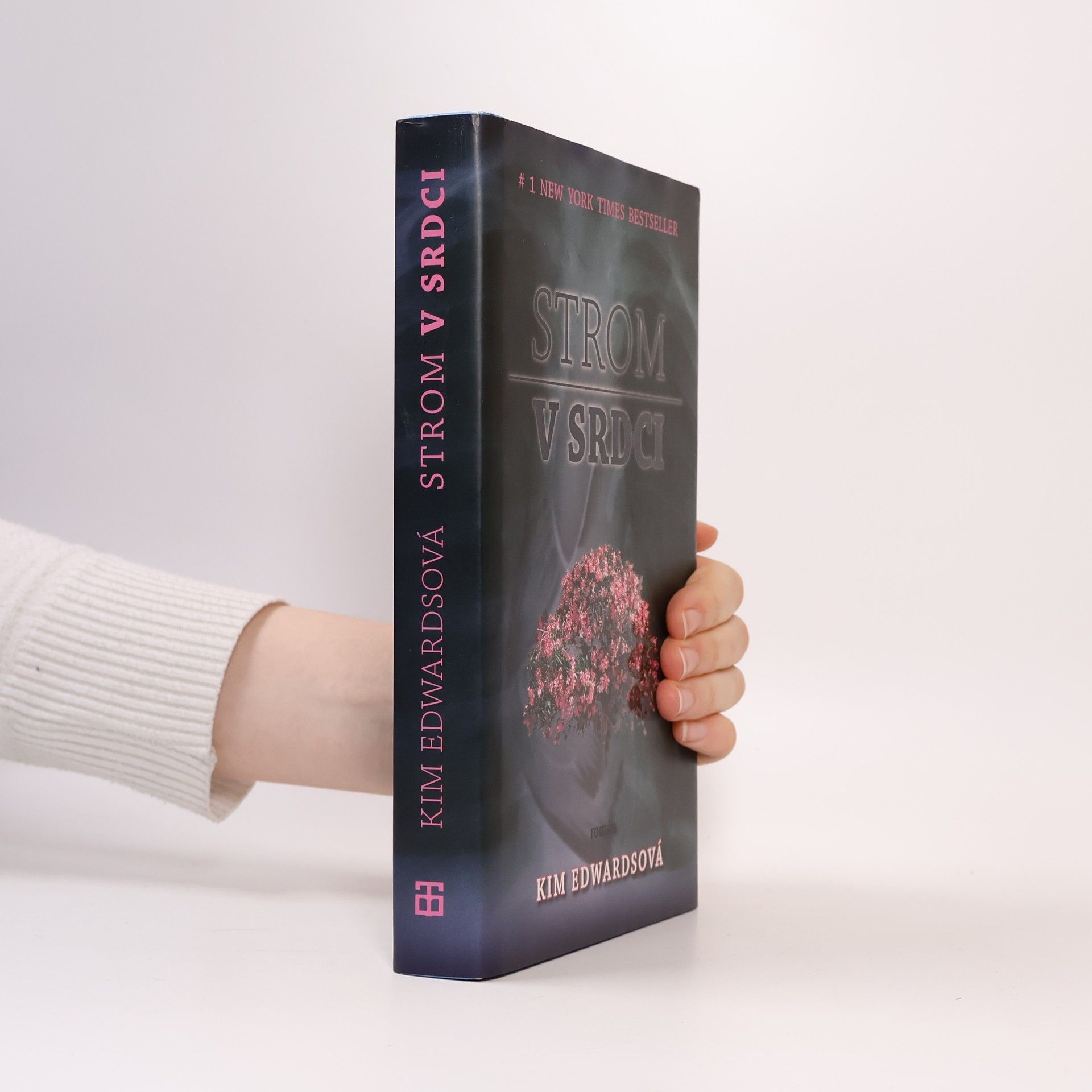 Kim Edwards Strom v srdci