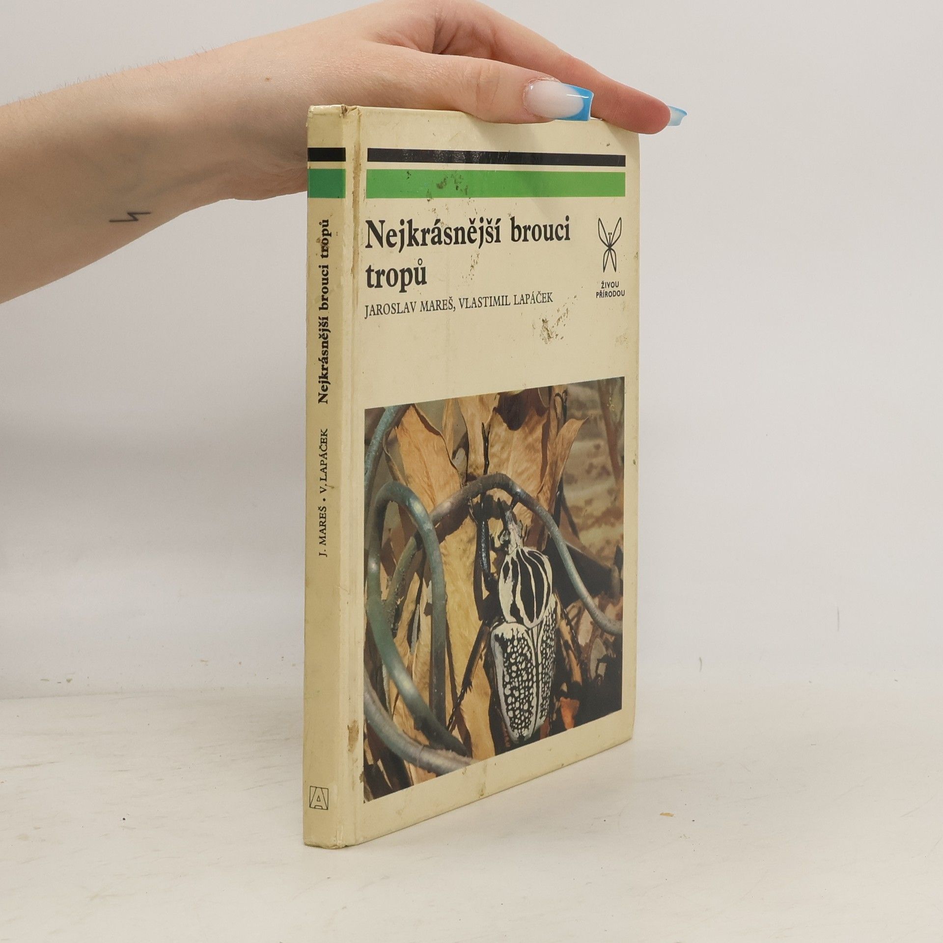 Jaroslav V. Mareš Nejkrásnější brouci tropů