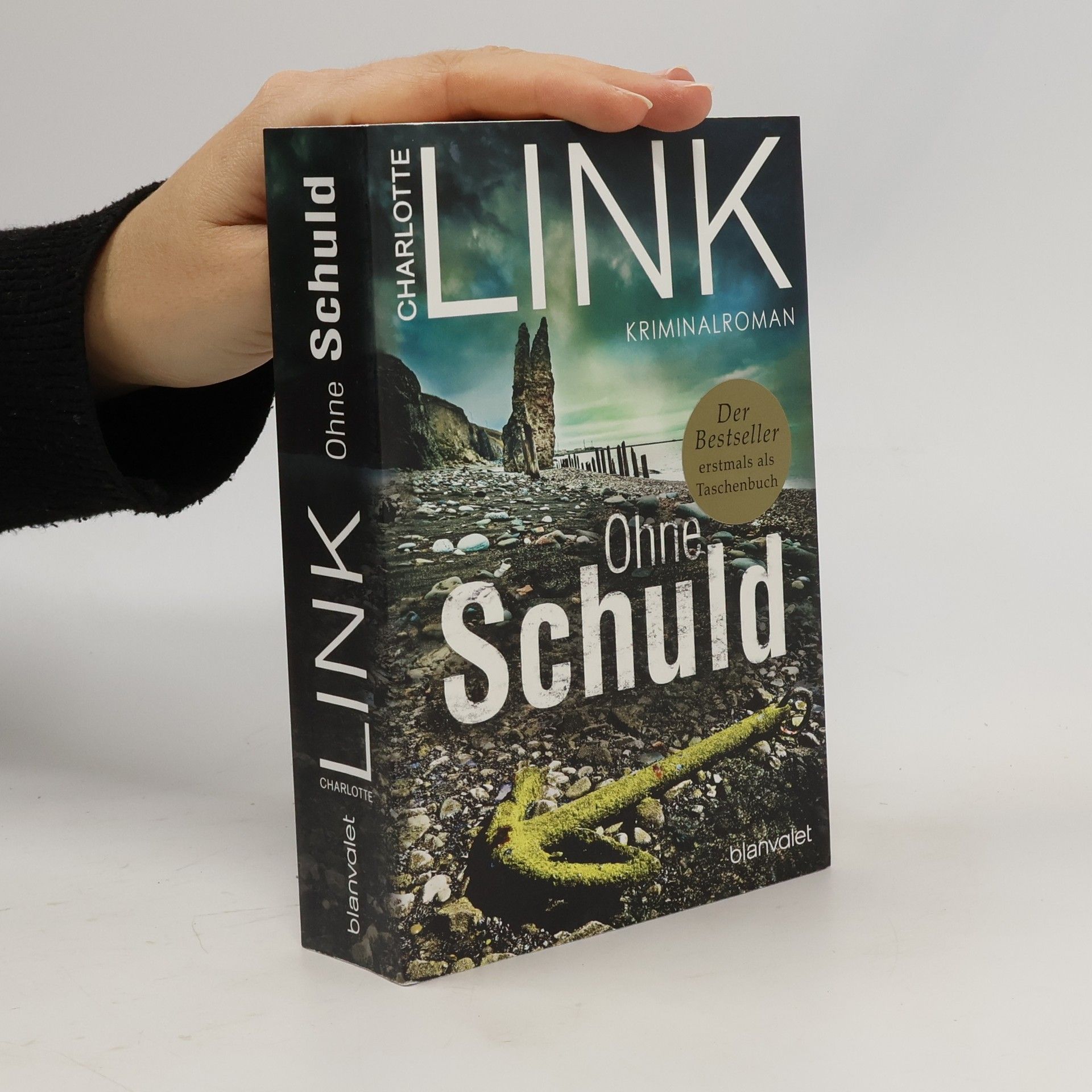 Charlotte Link Ohne Schuld