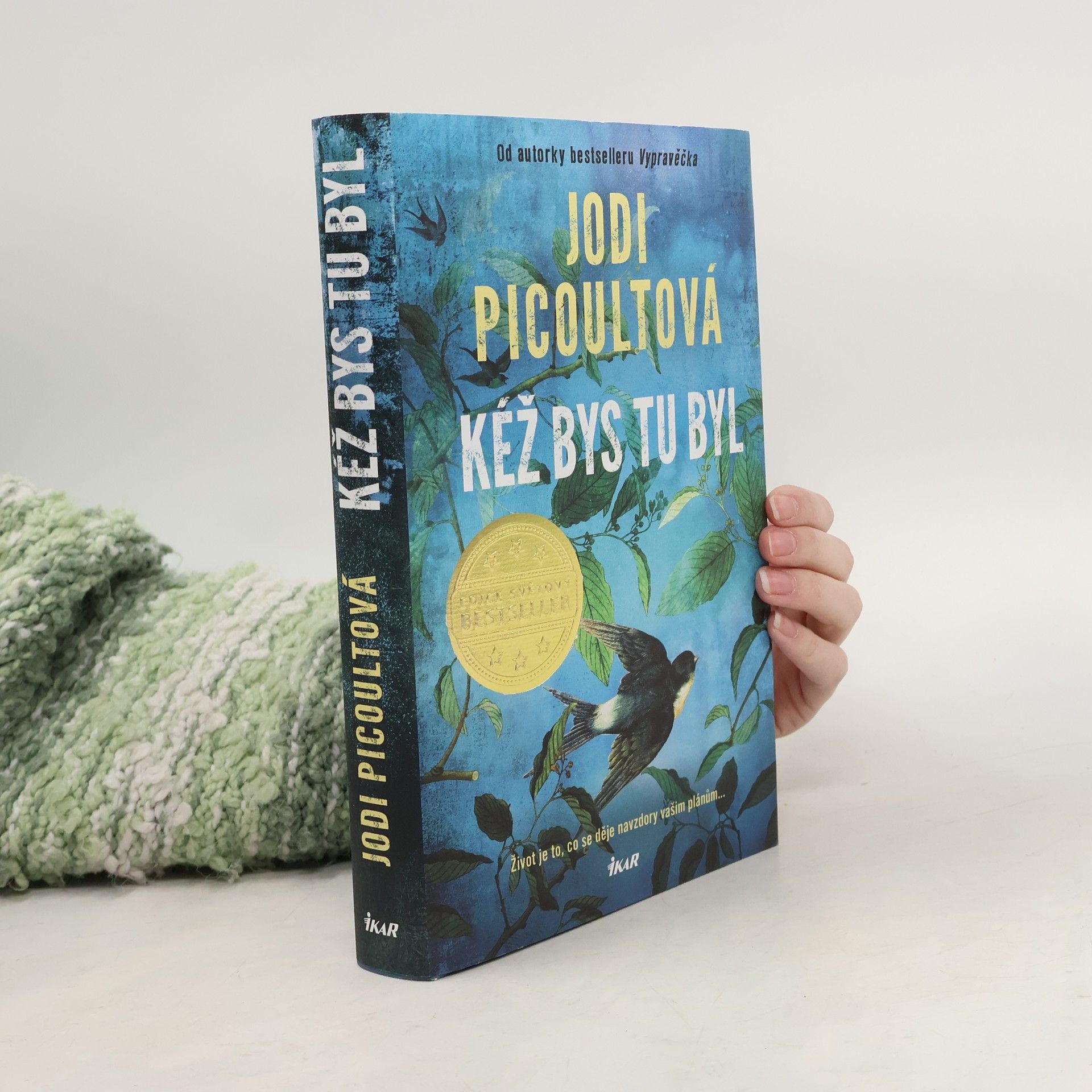 Jodi Picoult Kéž bys tu byl