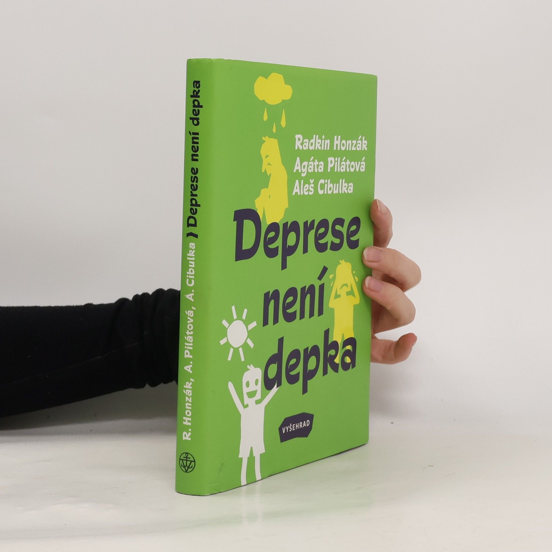 Kolektiv autorů Deprese není depka