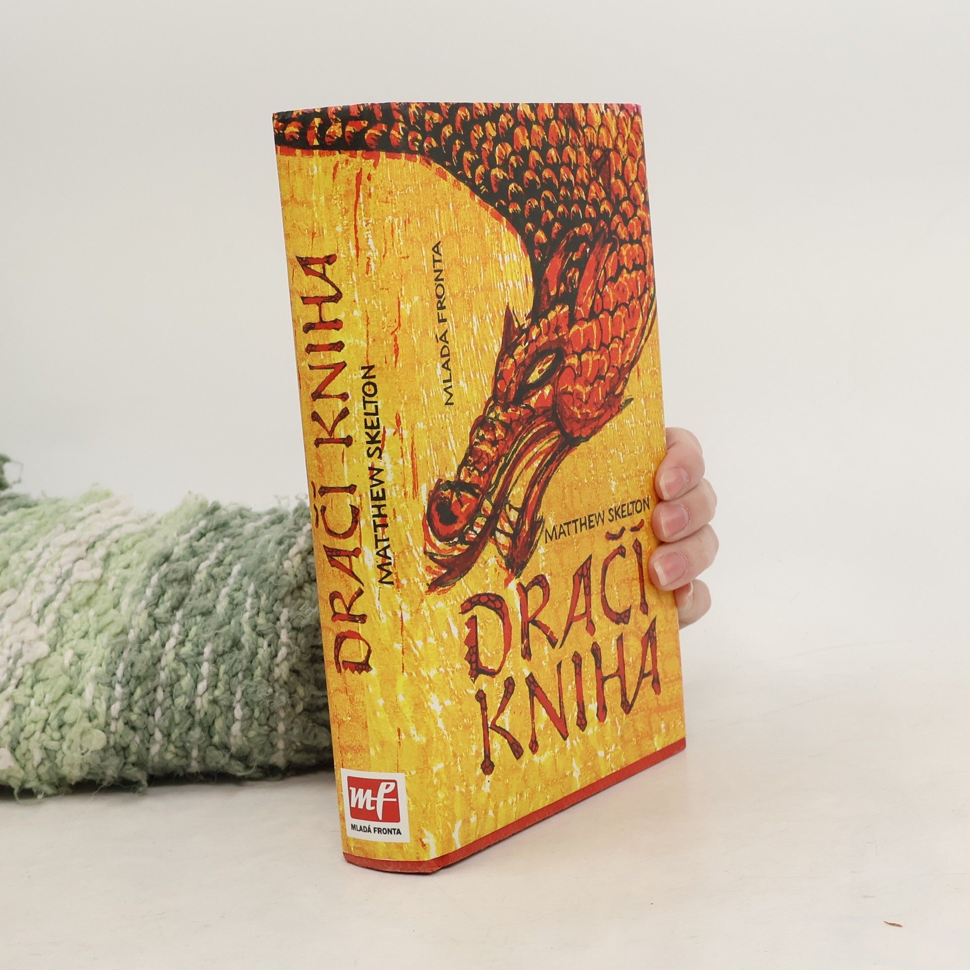 Matthew Skelton Dračí kniha