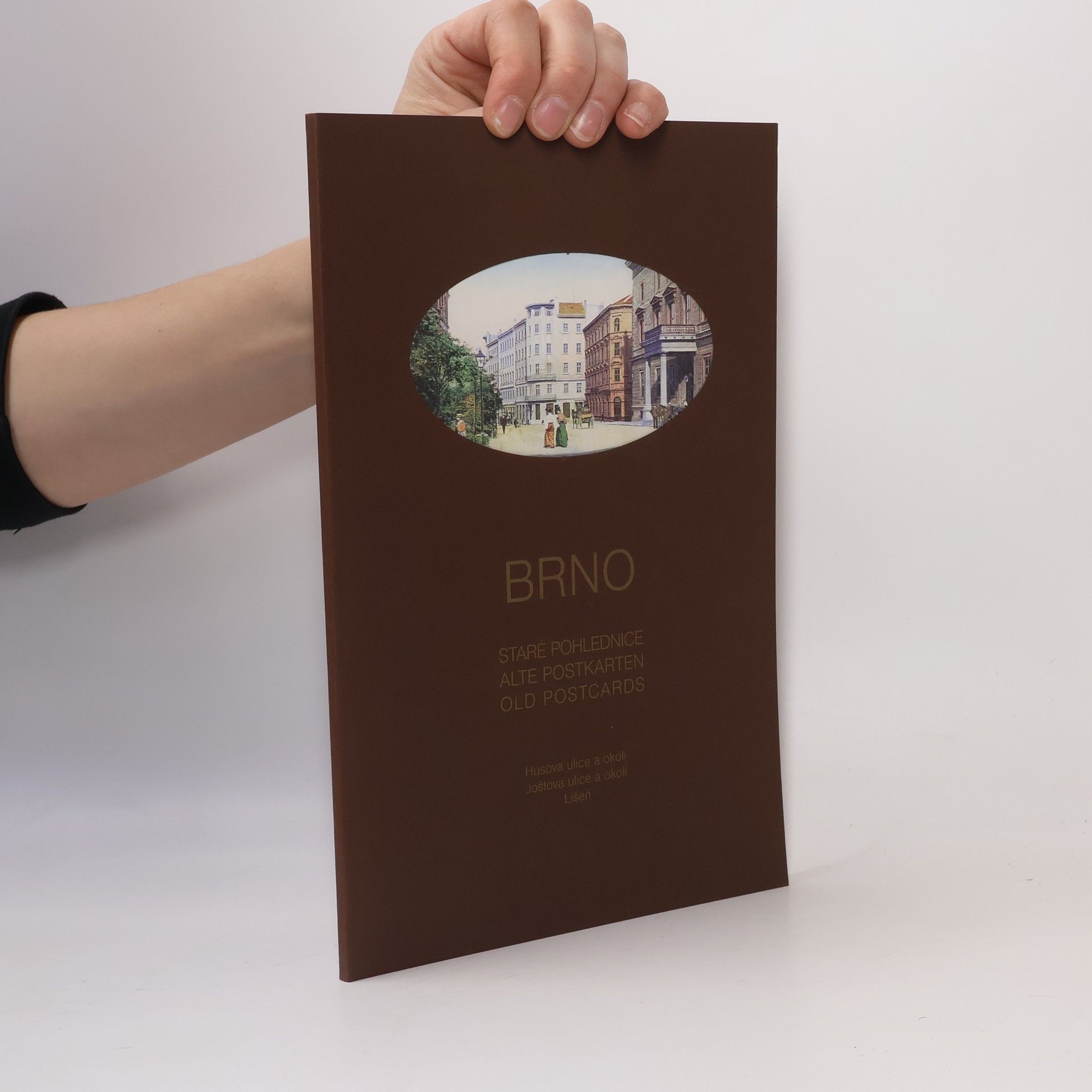 Various authors Brno - Staré pohlednice/Alte Postkarten/ Old Postcards