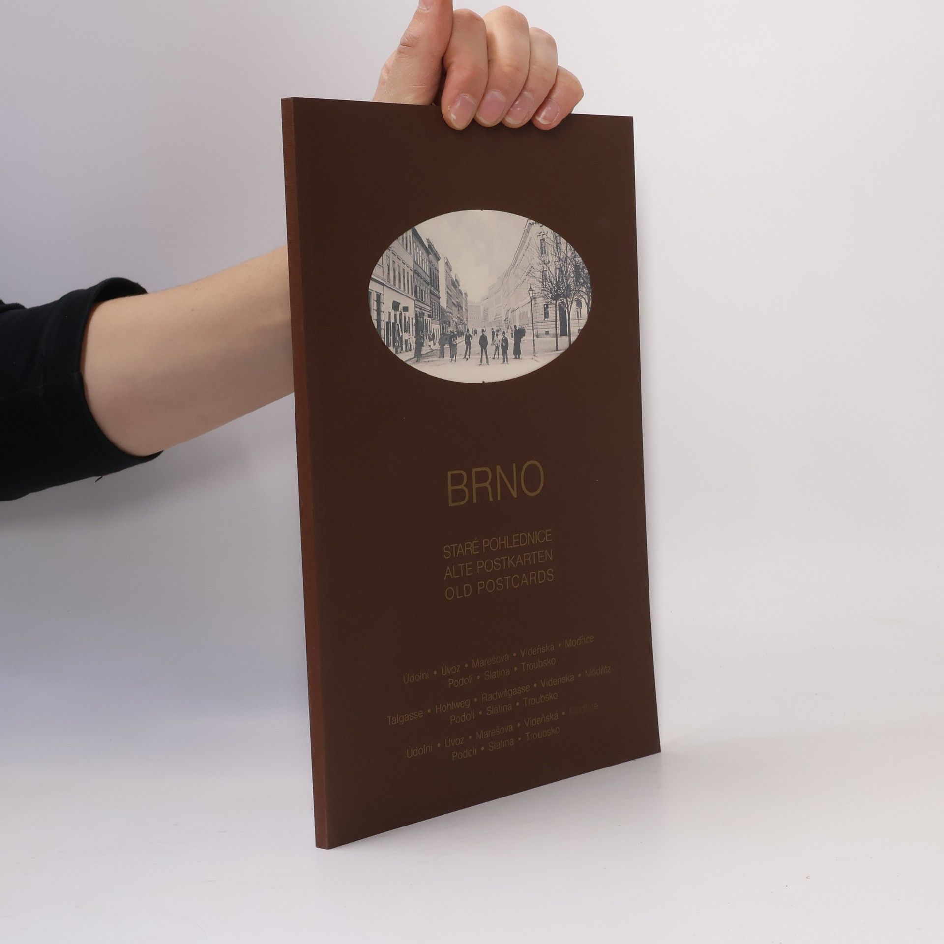 AA.VV. Brno - Staré pohlednice / Alte Postkarten / Old Postcards