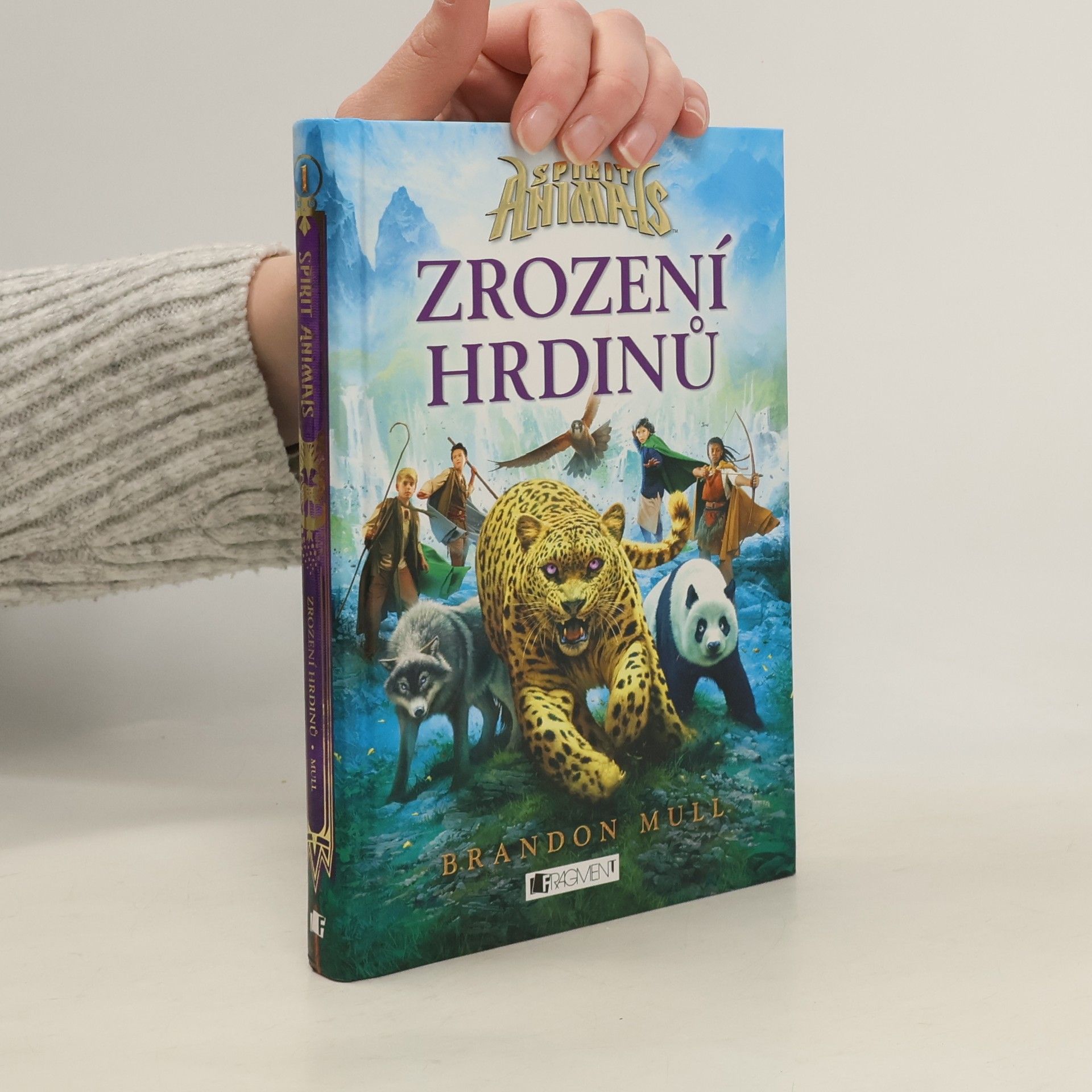 Brandon Mull Zrození hrdinů