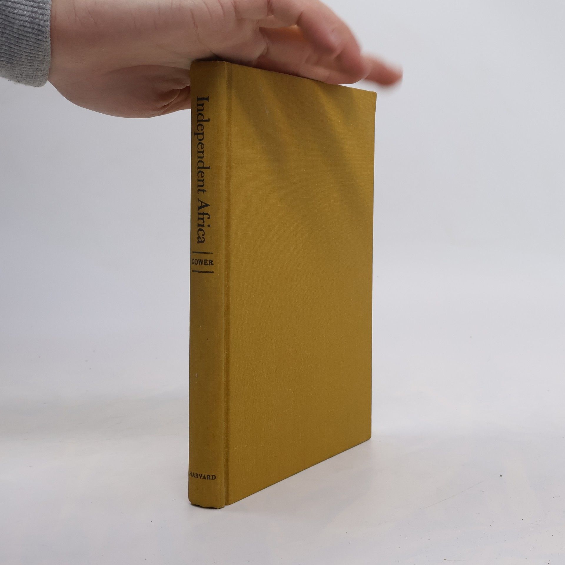 Autorenkollektiv Independent Africa