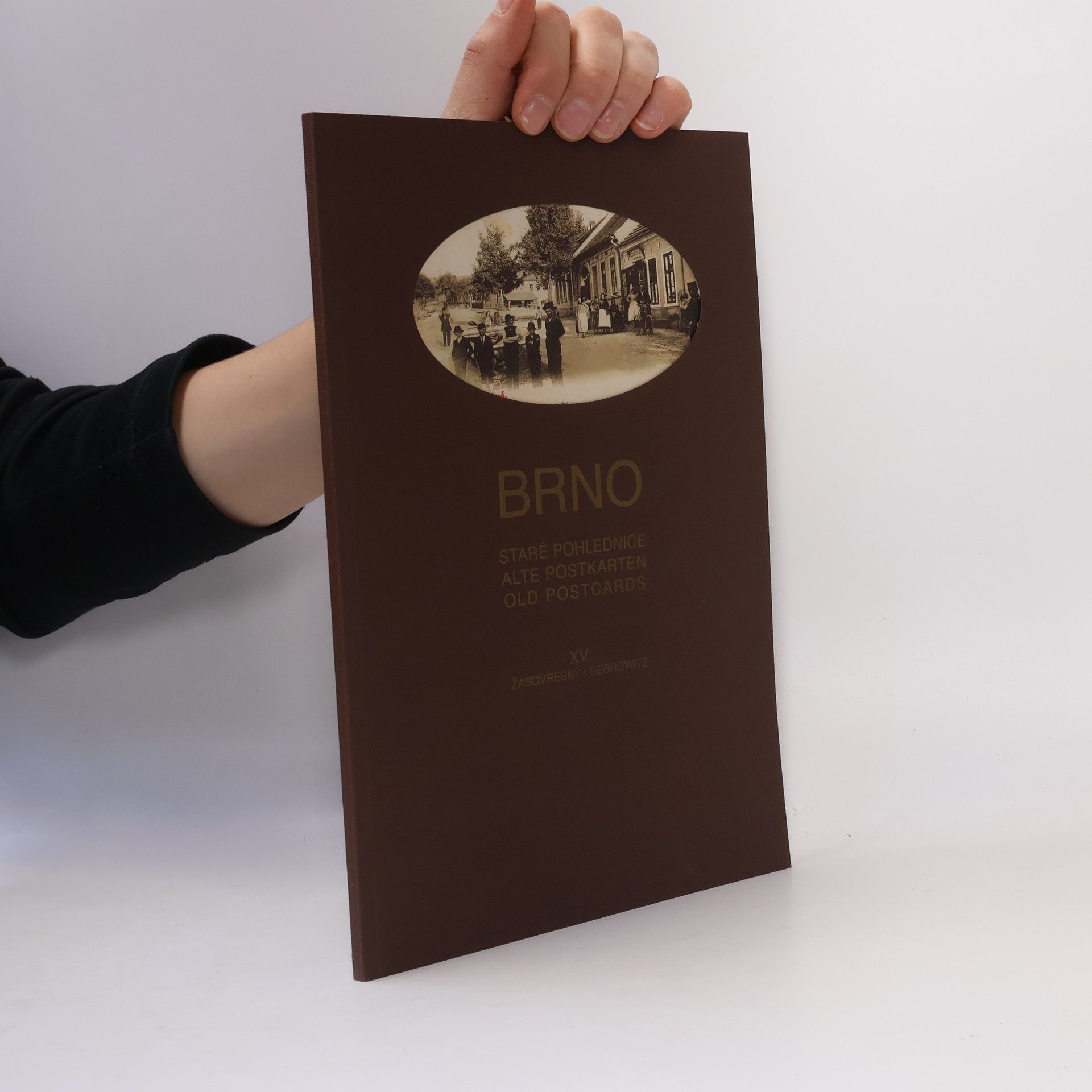 Vladimír Filip Brno. Staré pohlednice XV. Žabovřesky