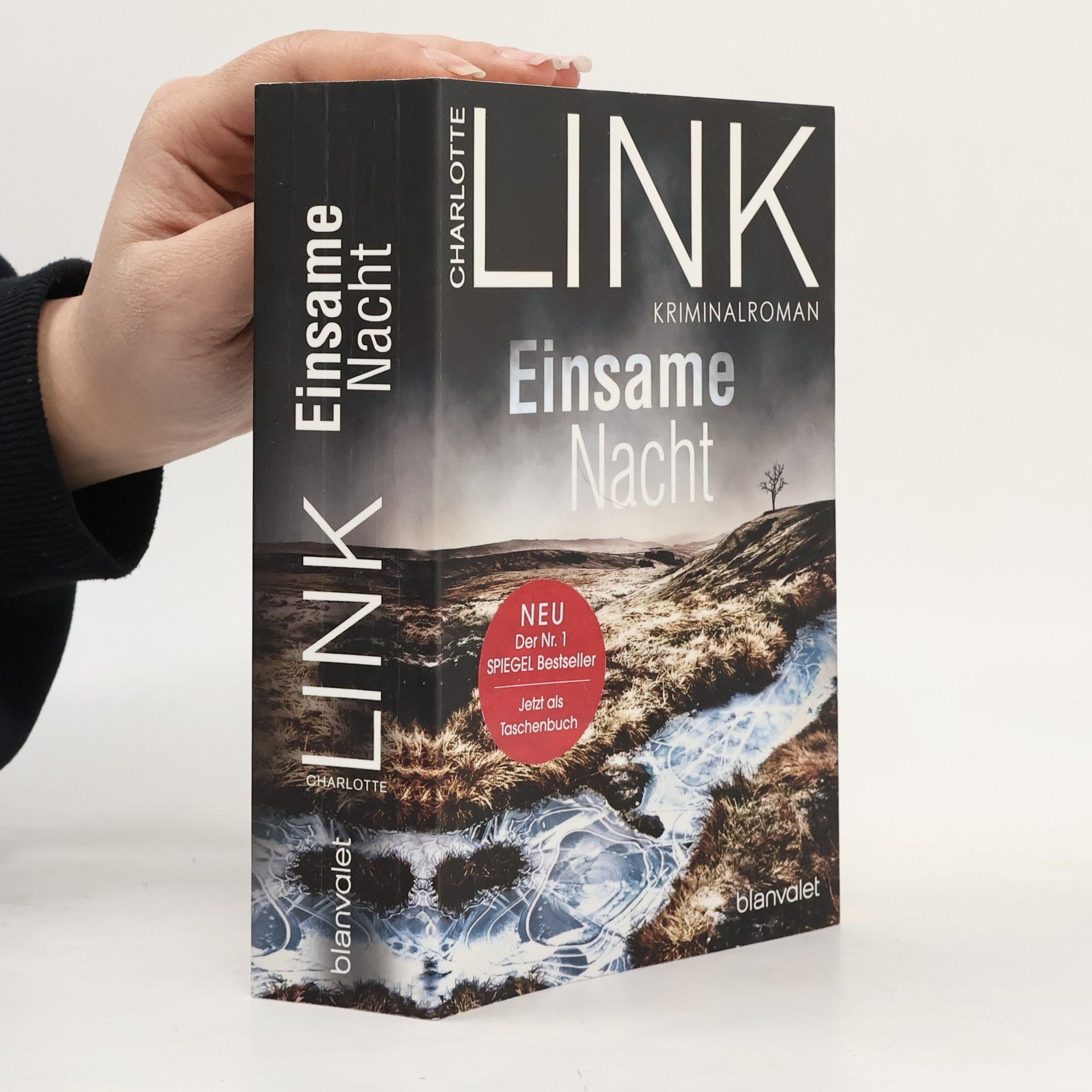 Charlotte Link Einsame Nacht