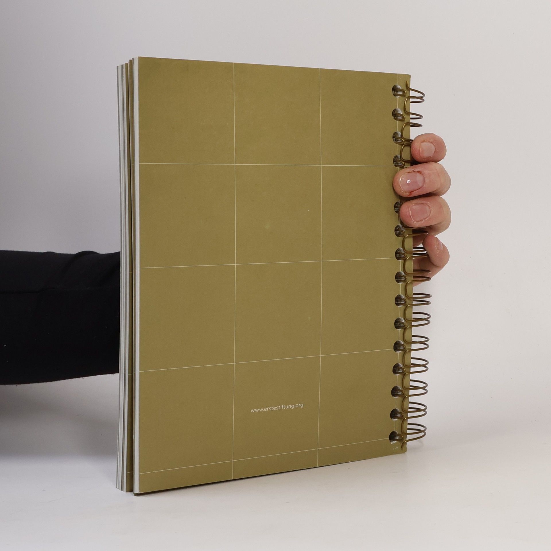 Autores varios Let včelky do 21. století