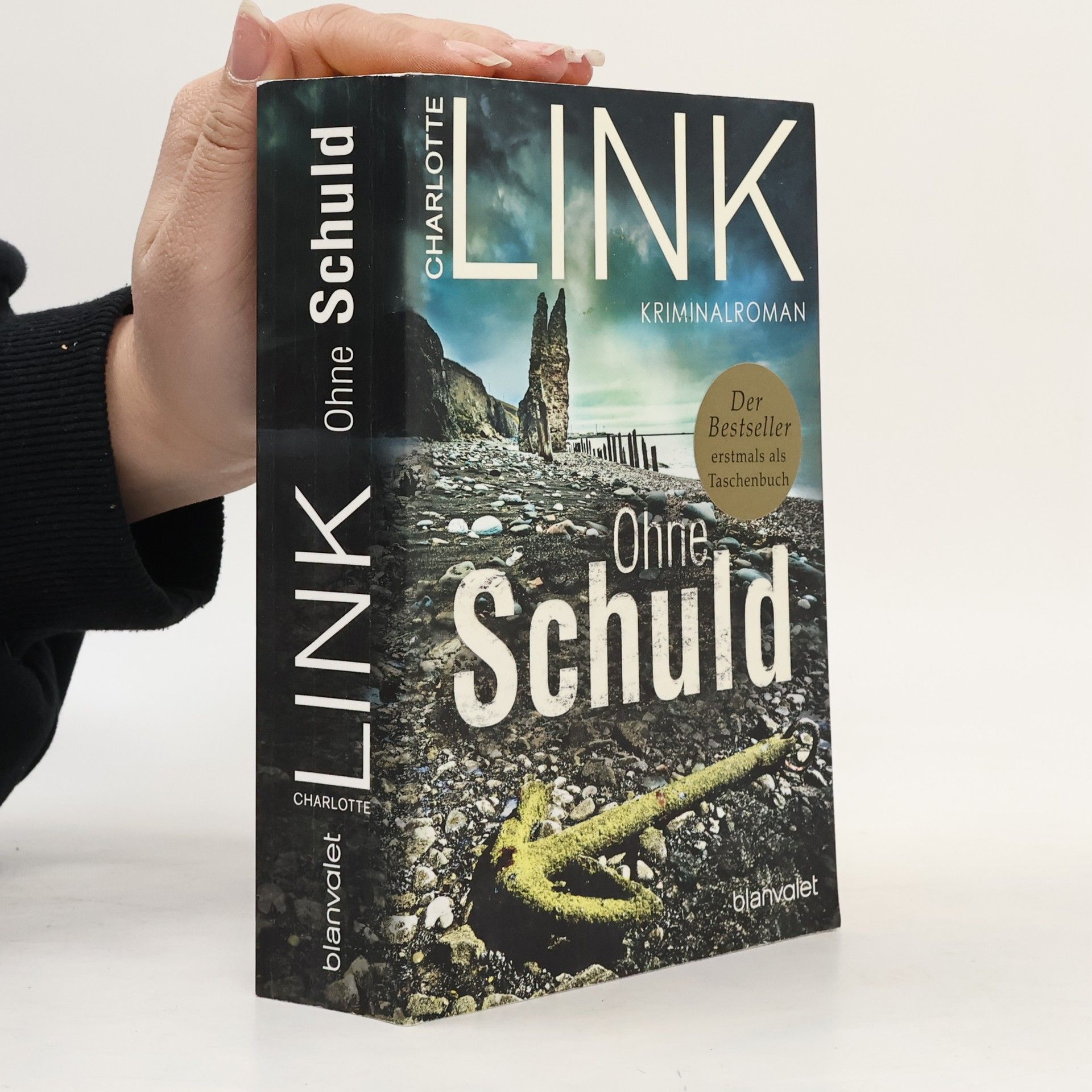 Charlotte Link Ohne Schuld