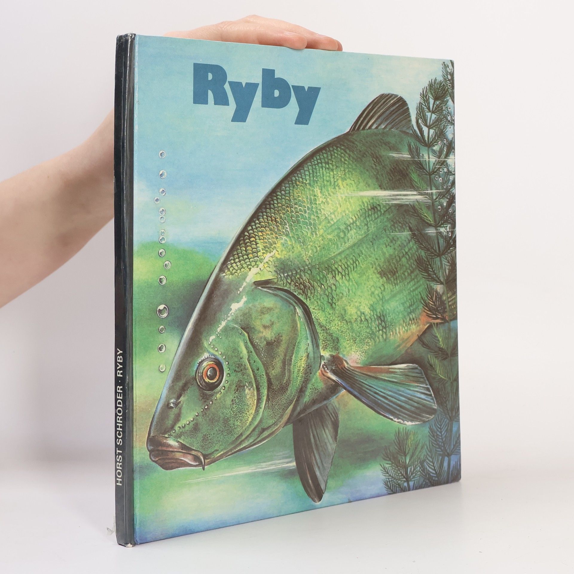 Collectif d'auteurs Ryby