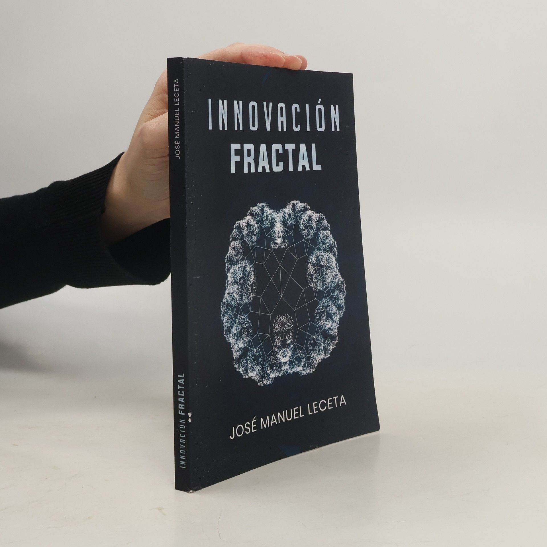 José Manuel Leceta García Innovación fractal