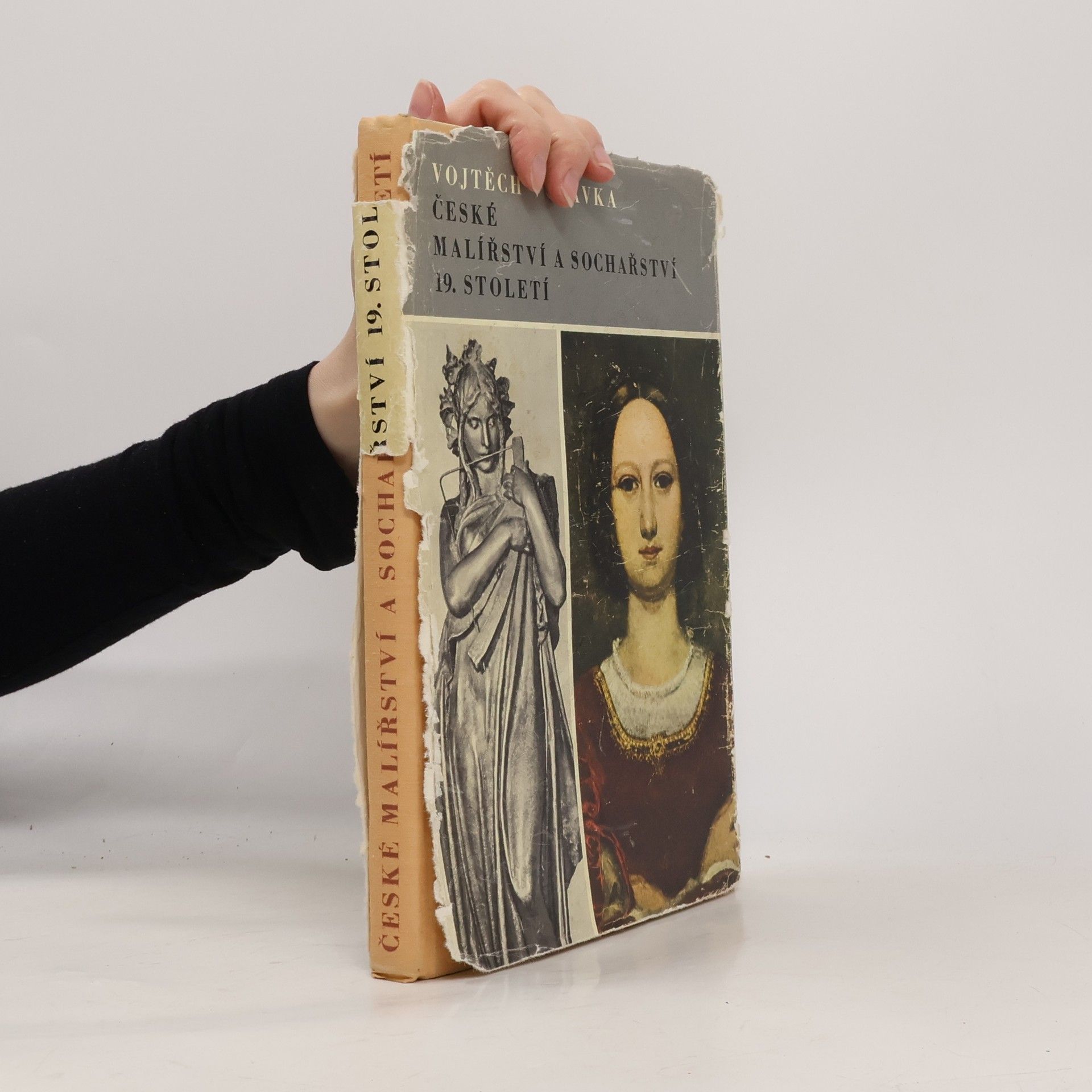 Vojtěch Volavka České malířství a sochařství 19. století